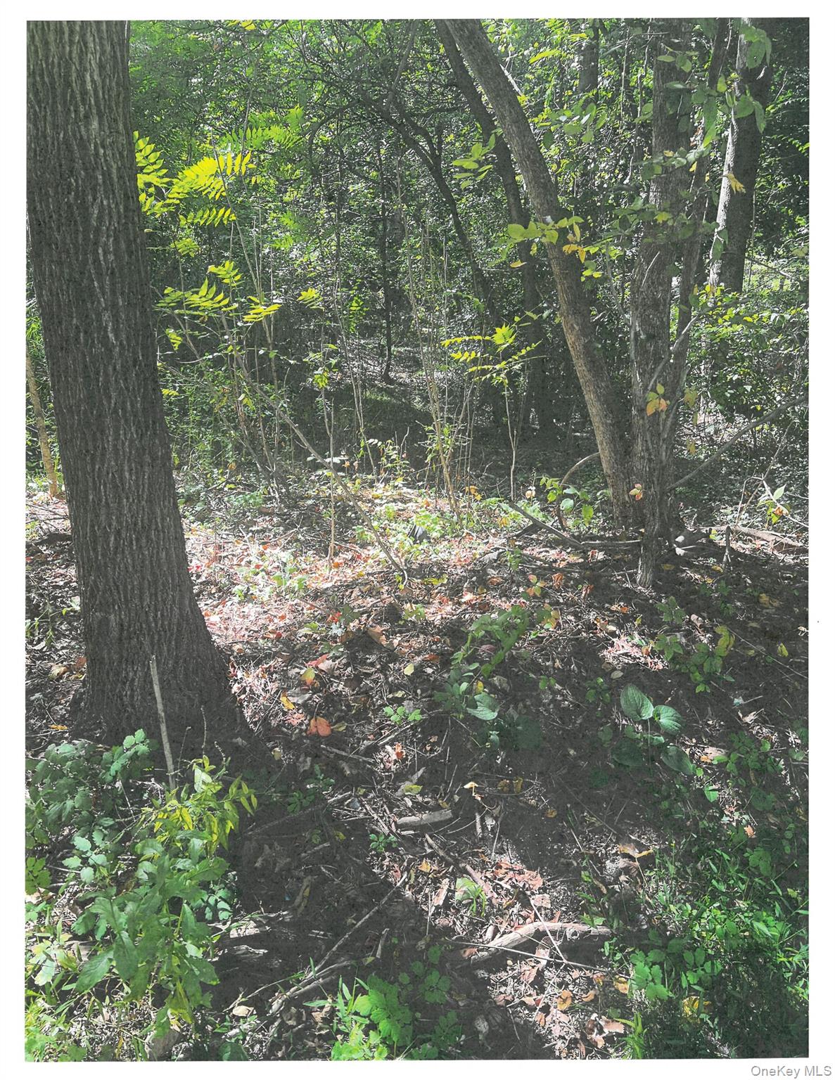 Lots 8, 9 & 10 Dale Avenue, Cortlandt Manor, NY 10567