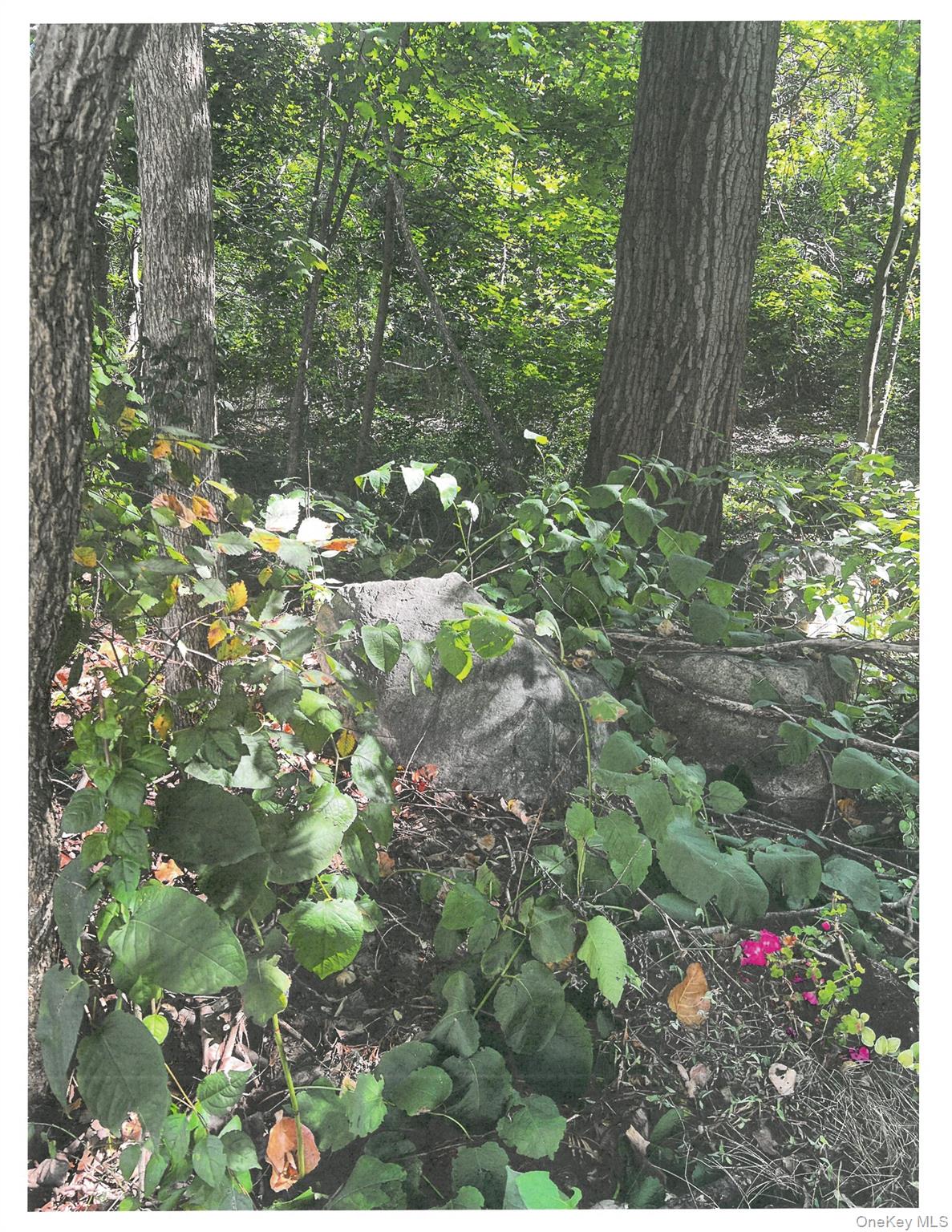 Lots 8, 9 & 10 Dale Avenue, Cortlandt Manor, NY 10567