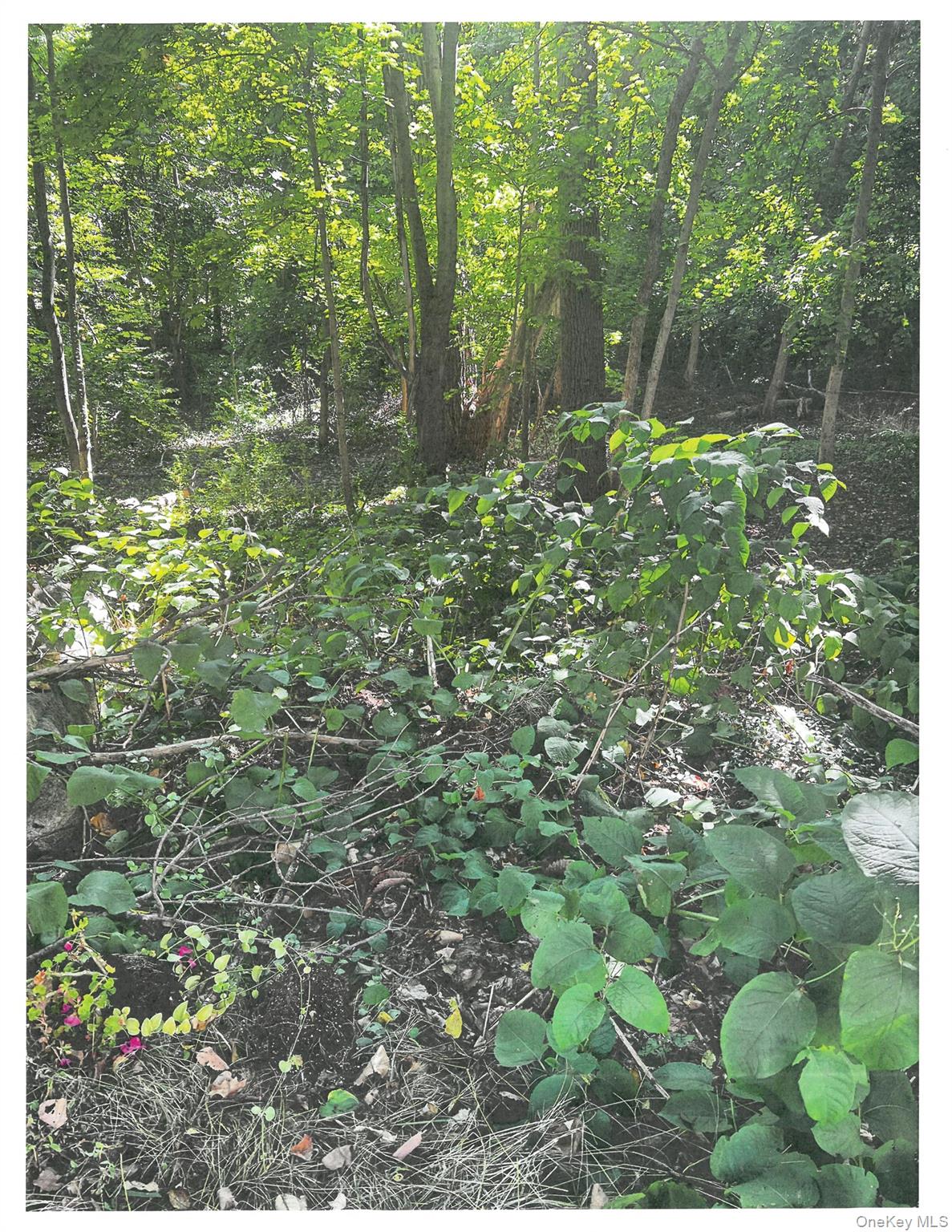 Lots 8, 9 & 10 Dale Avenue, Cortlandt Manor, NY 10567