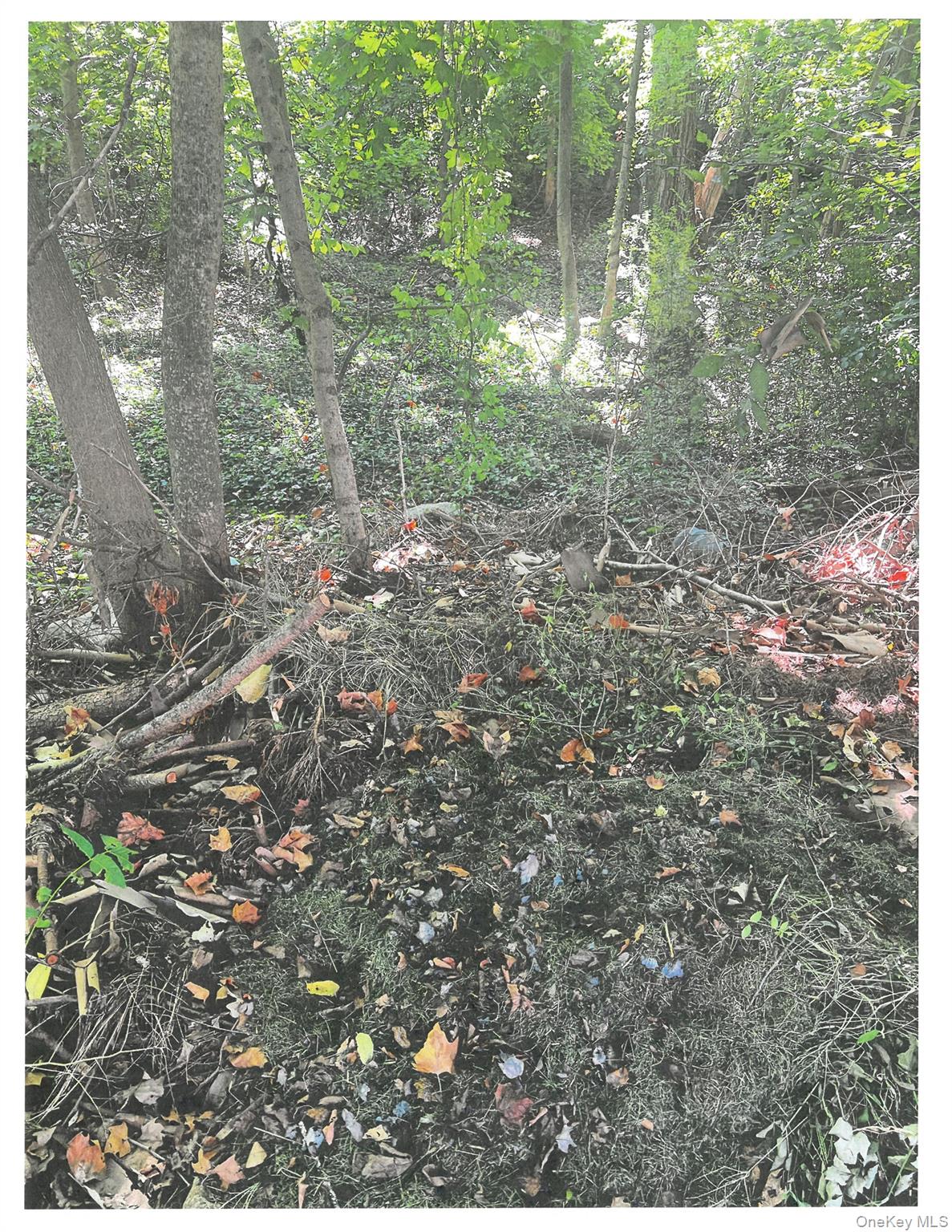 Lots 8, 9 & 10 Dale Avenue, Cortlandt Manor, NY 10567