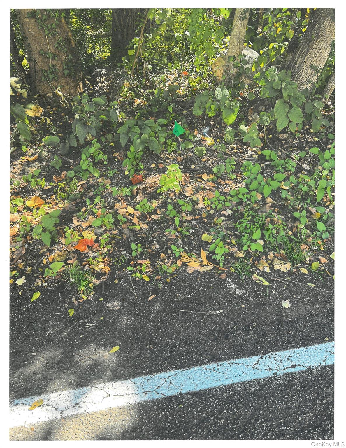 Lots 8, 9 & 10 Dale Avenue, Cortlandt Manor, NY 10567