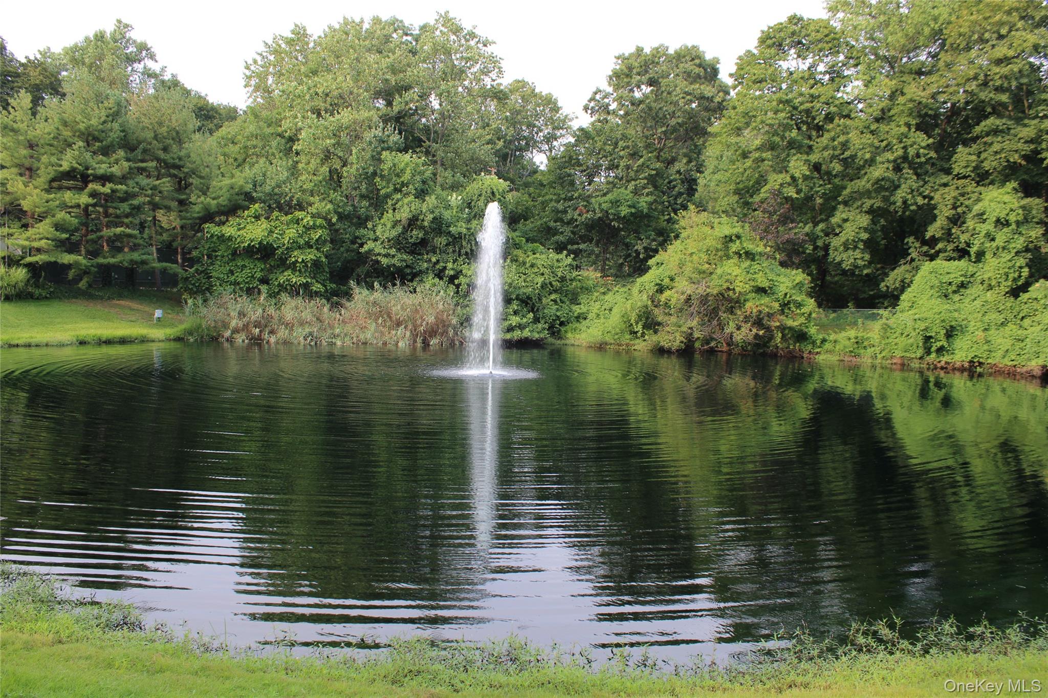 15 Fairway Circle S # 15, Manhasset, NY 11030