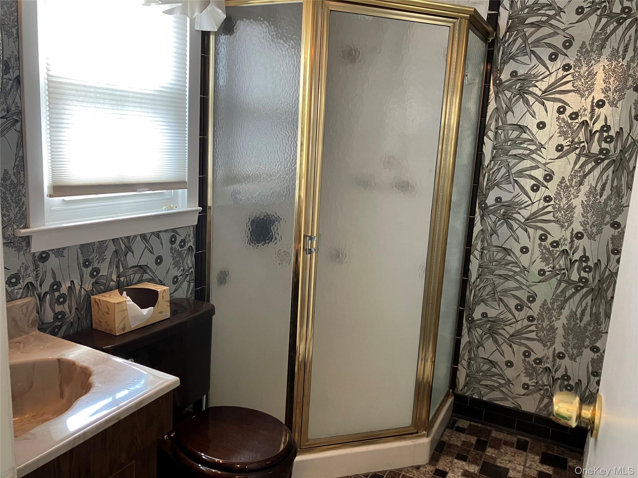 40 Irwin Street, New Hyde Park, NY 11040