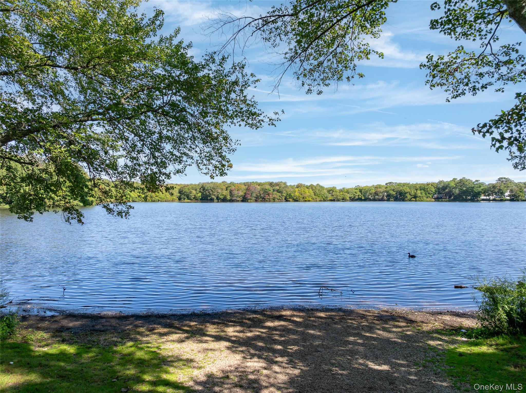 461 Ann Street, Babylon, NY 11702