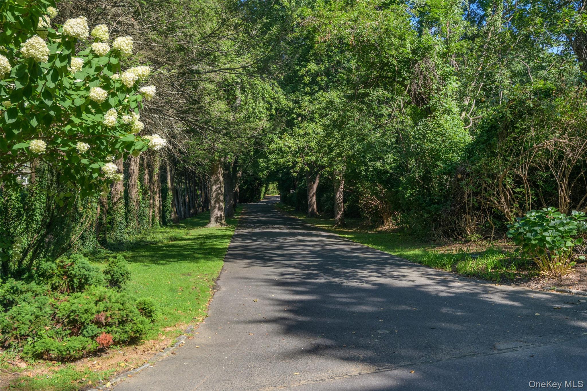 48 Morgan Drive, Old Westbury, NY 11568