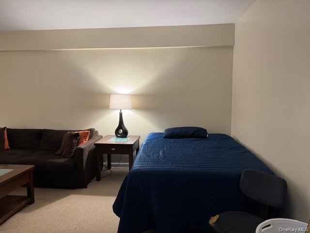 25 Elizabeth Street # 2E, Farmingdale, NY 11735