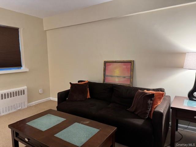 25 Elizabeth Street # 2E, Farmingdale, NY 11735