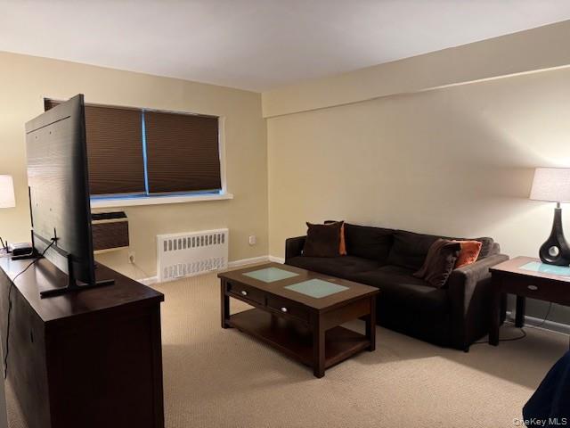 25 Elizabeth Street # 2E, Farmingdale, NY 11735