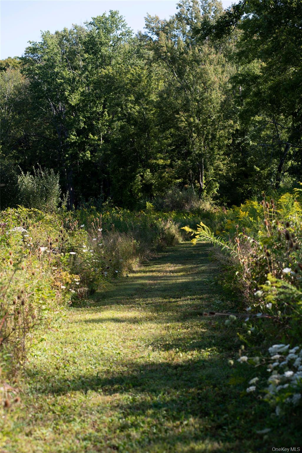 78 Waldorf Ridge Road, Copake, NY 12516