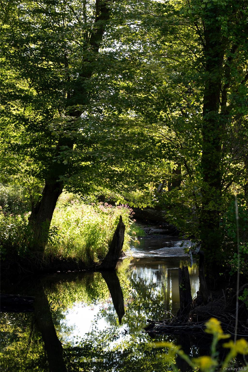 78 Waldorf Ridge Road, Copake, NY 12516