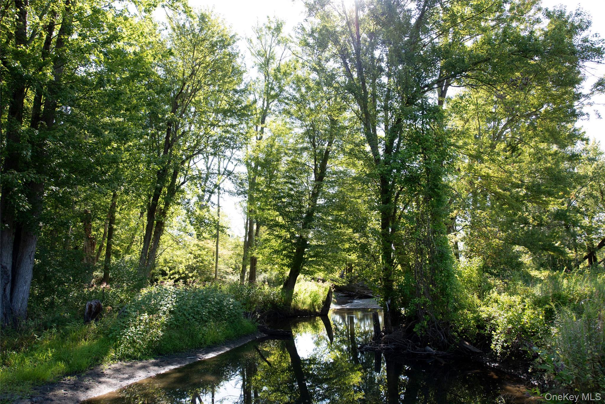 78 Waldorf Ridge Road, Copake, NY 12516