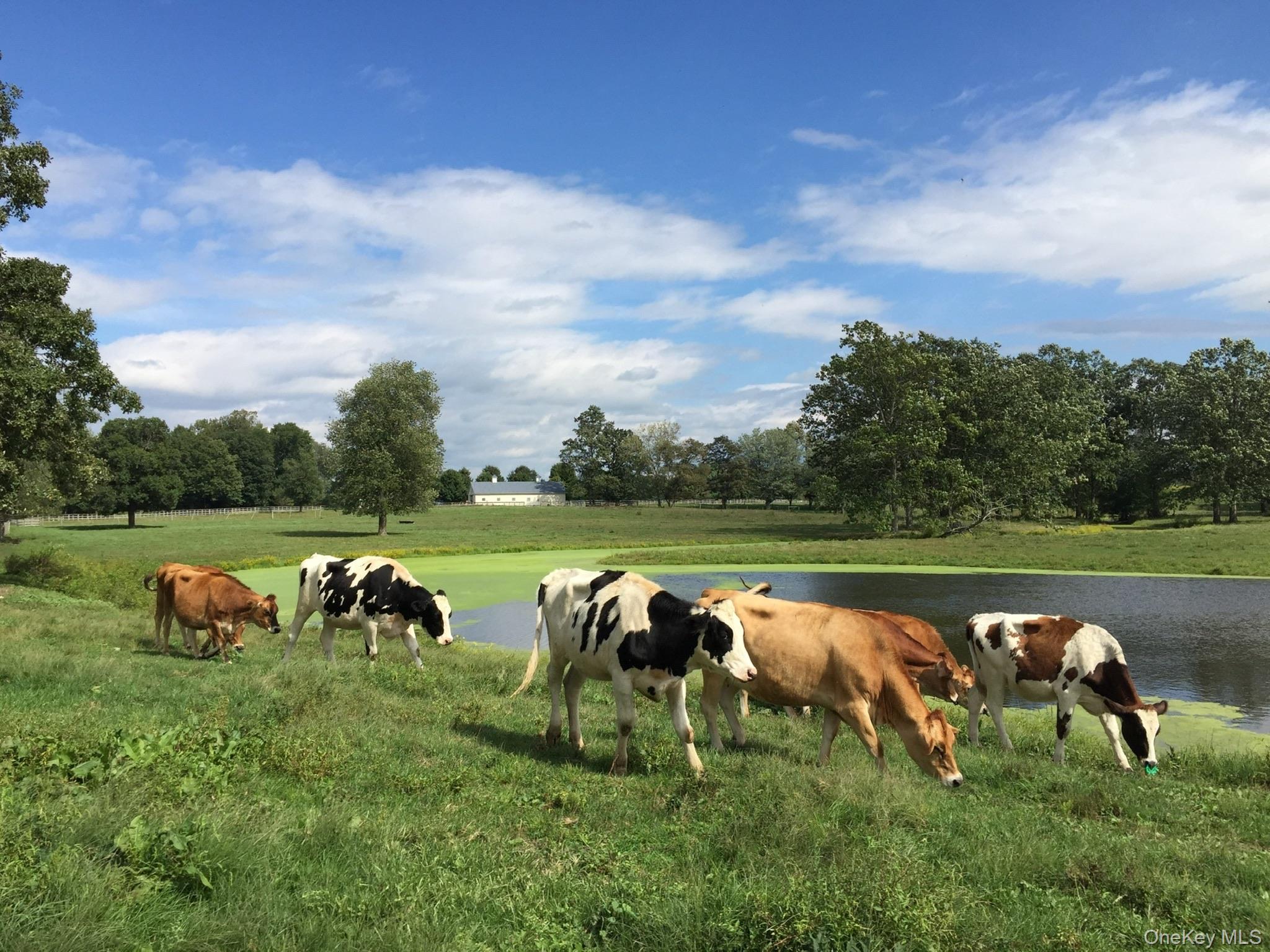 2039 Salt Point Turnpike, Salt Point, NY 12578