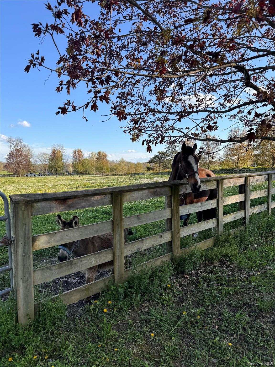 2039 Salt Point Turnpike, Salt Point, NY 12578