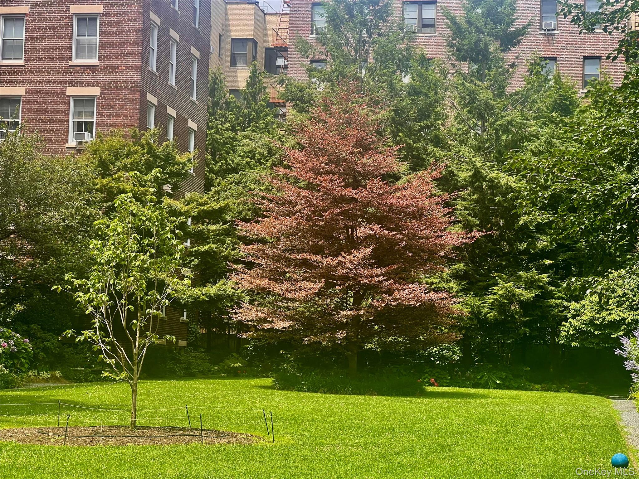 35-46 79th Street # #3, Jackson Heights, NY 11372