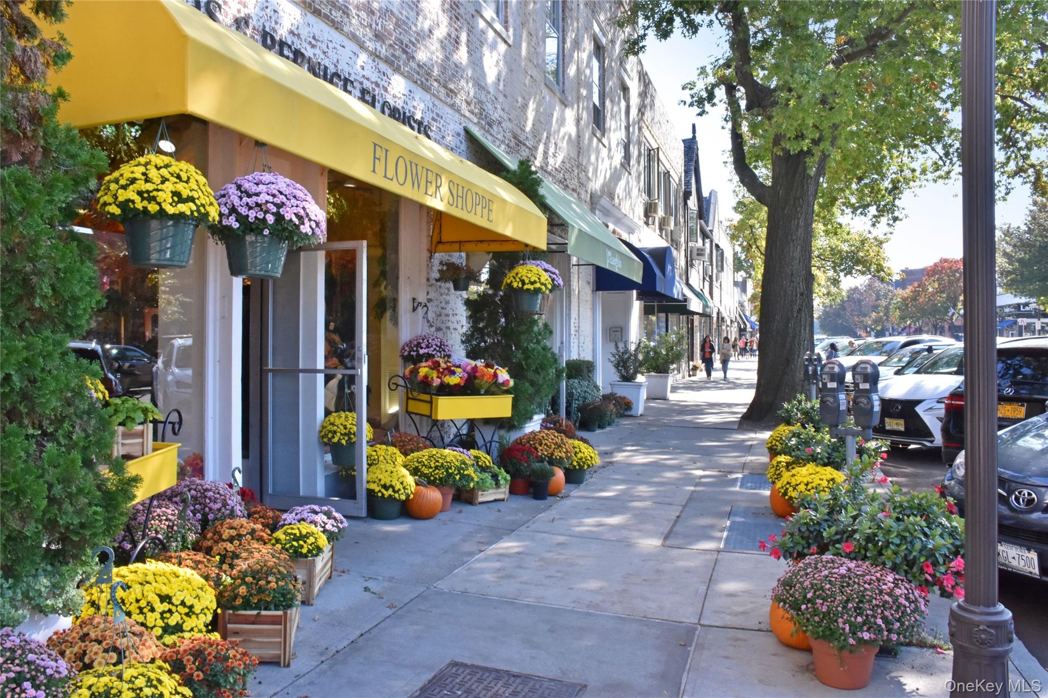 56 W Pondfield Road # 1A, Bronxville, NY 10708