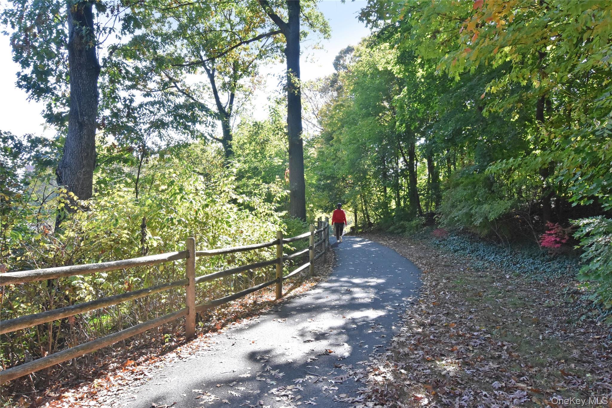 56 W Pondfield Road # 1A, Bronxville, NY 10708