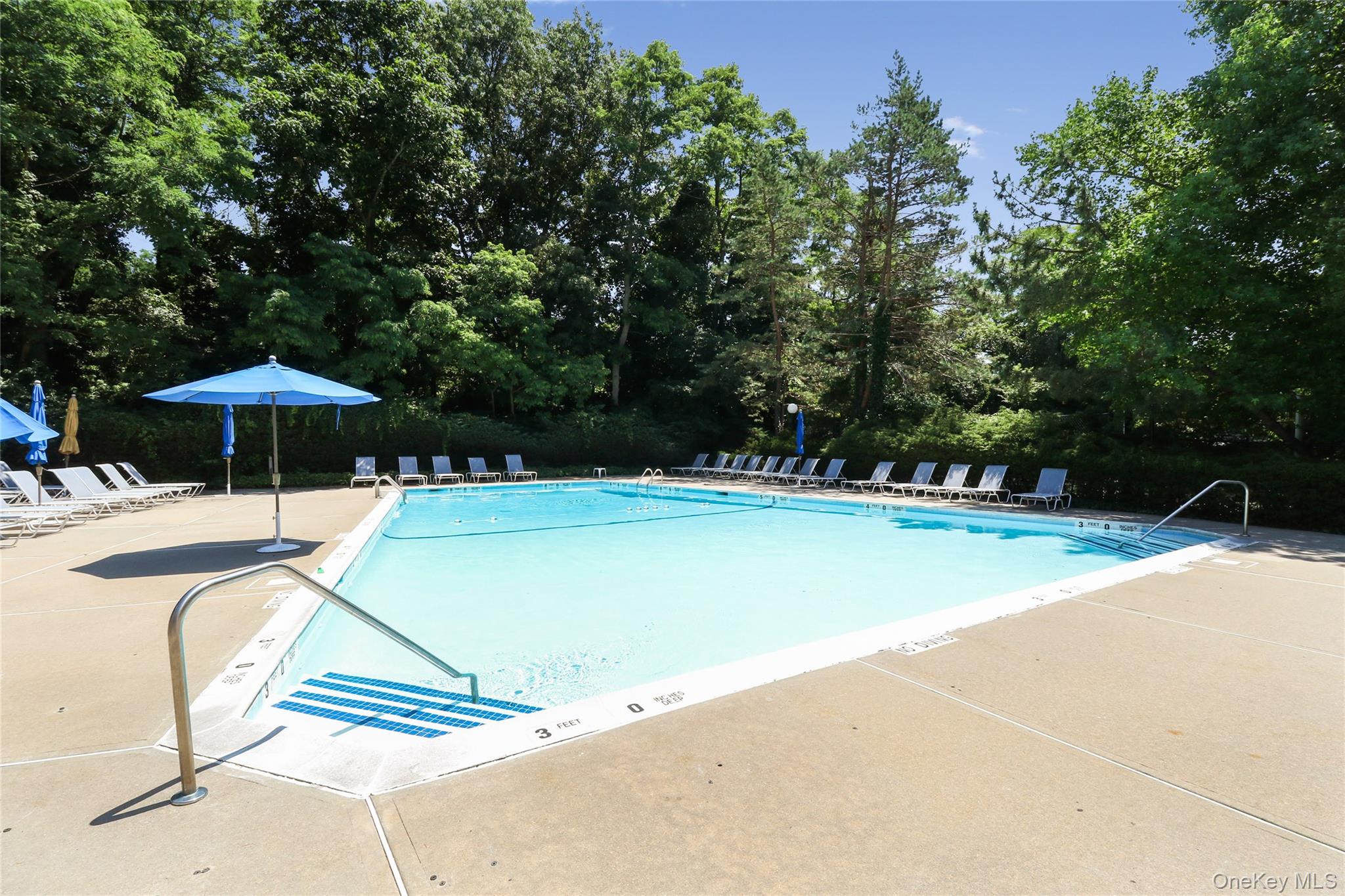 154 Hidden Ridge Drive, Syosset, NY 11791