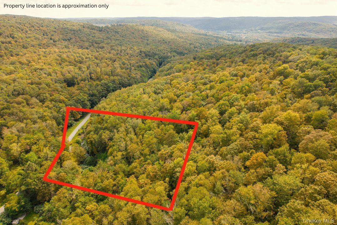 175 Elm Hollow Road, Livingston Manor, NY 12758