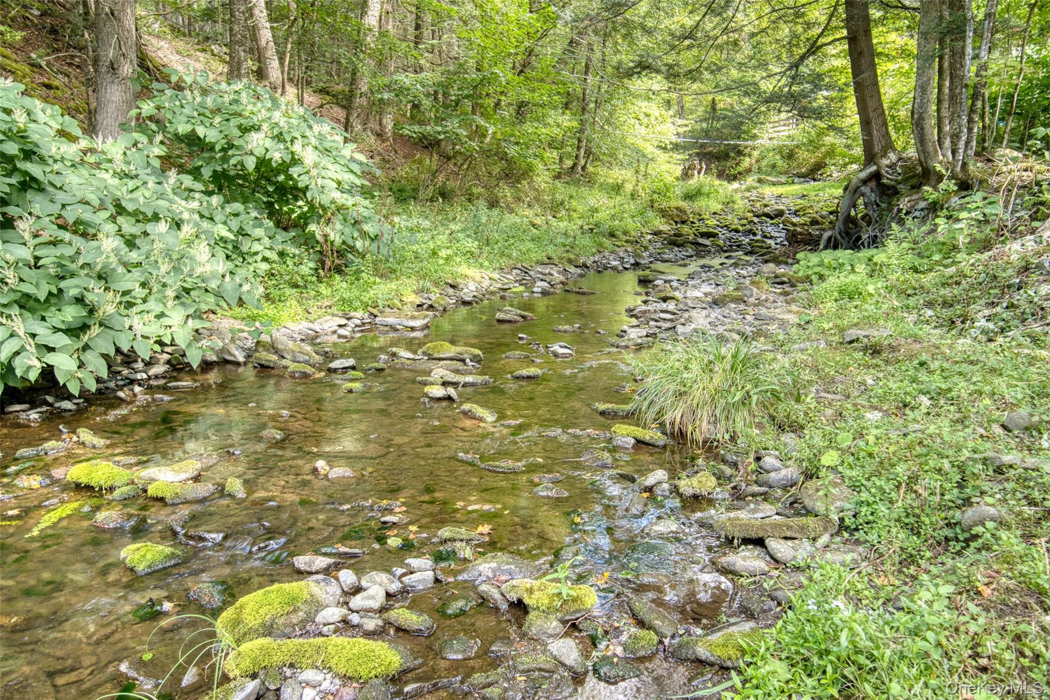 175 Elm Hollow Road, Livingston Manor, NY 12758