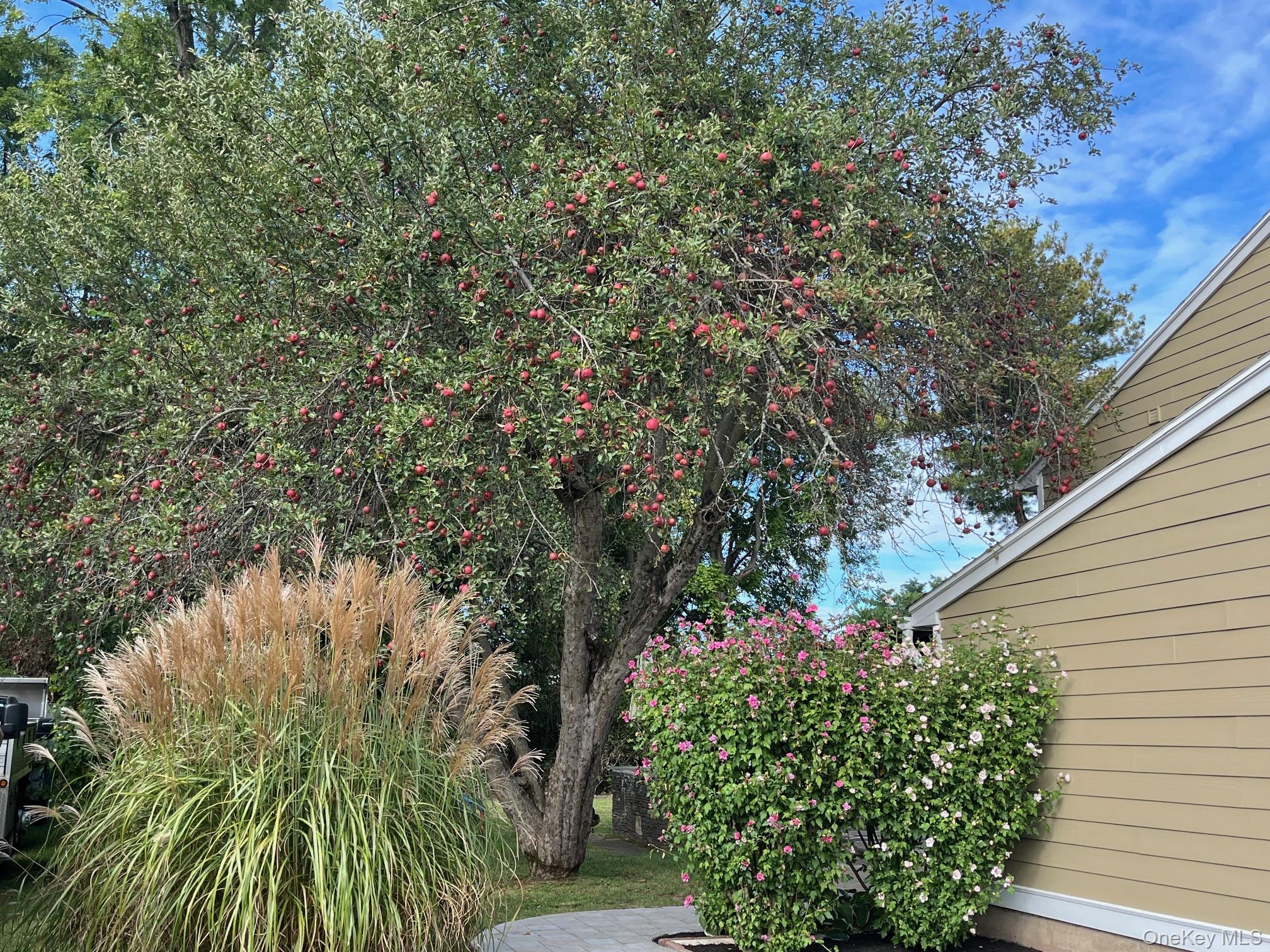 70 Stahlman Place, Kingston, NY 12401