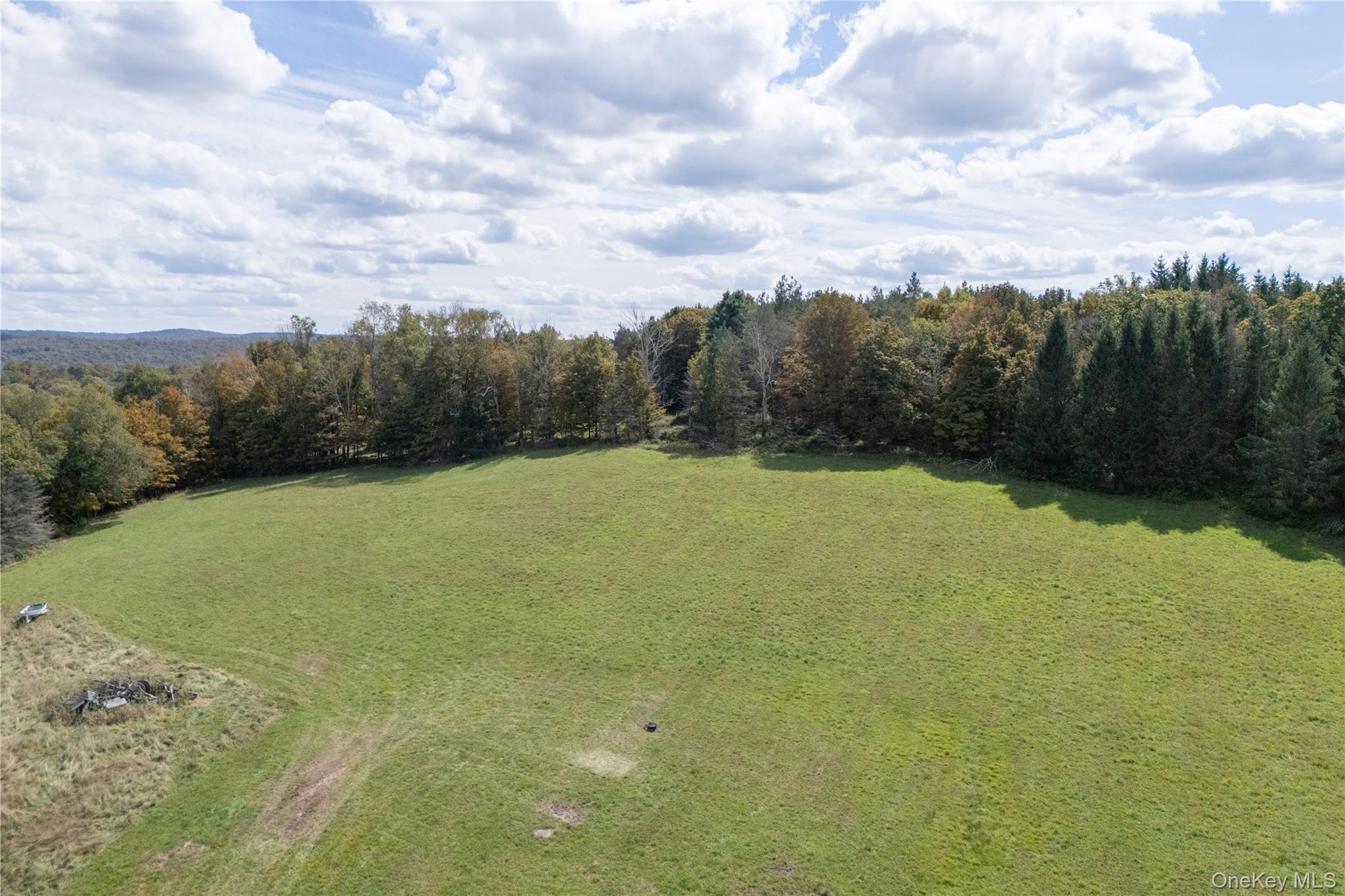 125 Crumley Van Vactor Road, Ferndale, NY 12734