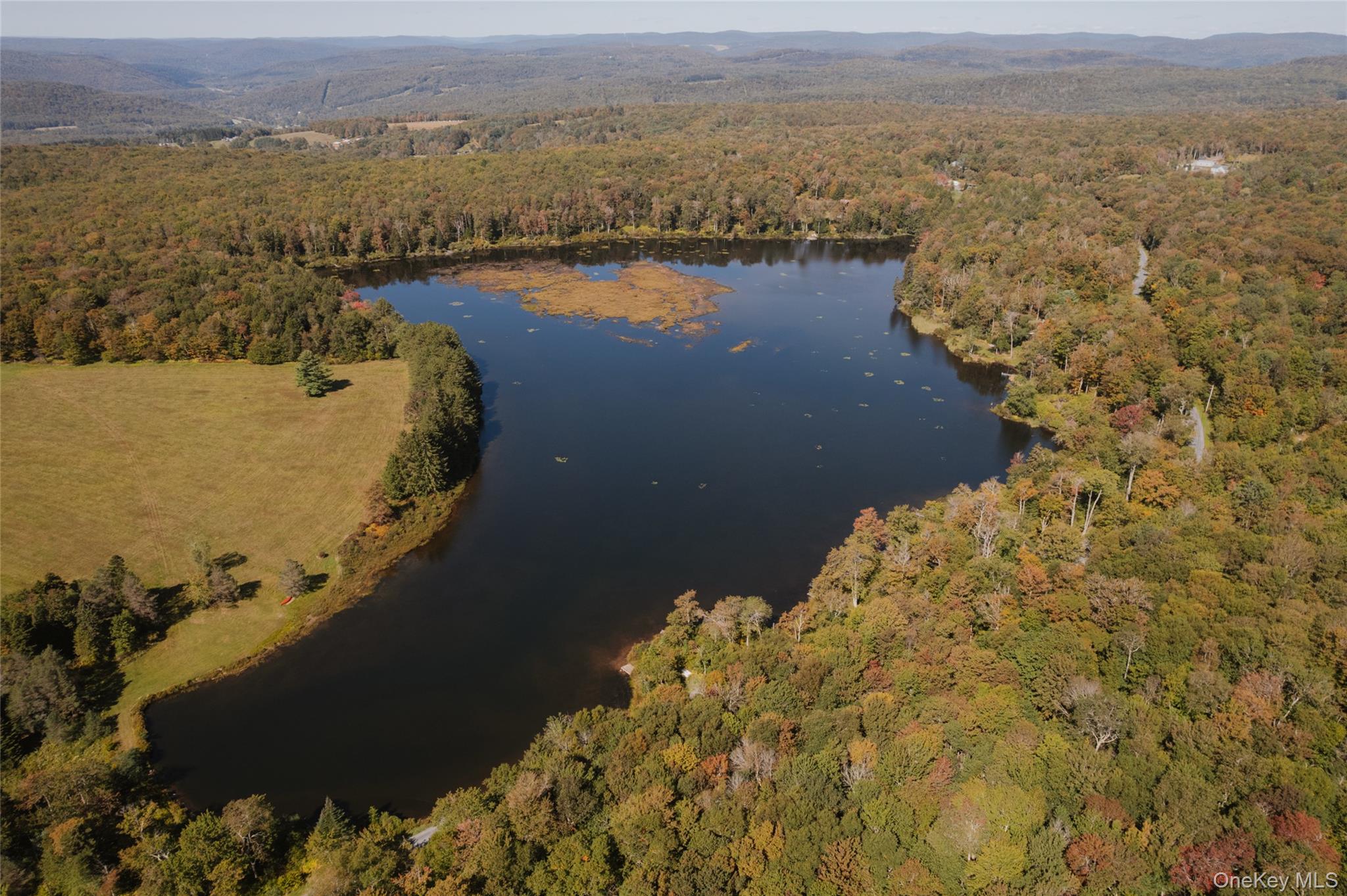 470 White Roe Lake Road, Livingston Manor, NY 12758