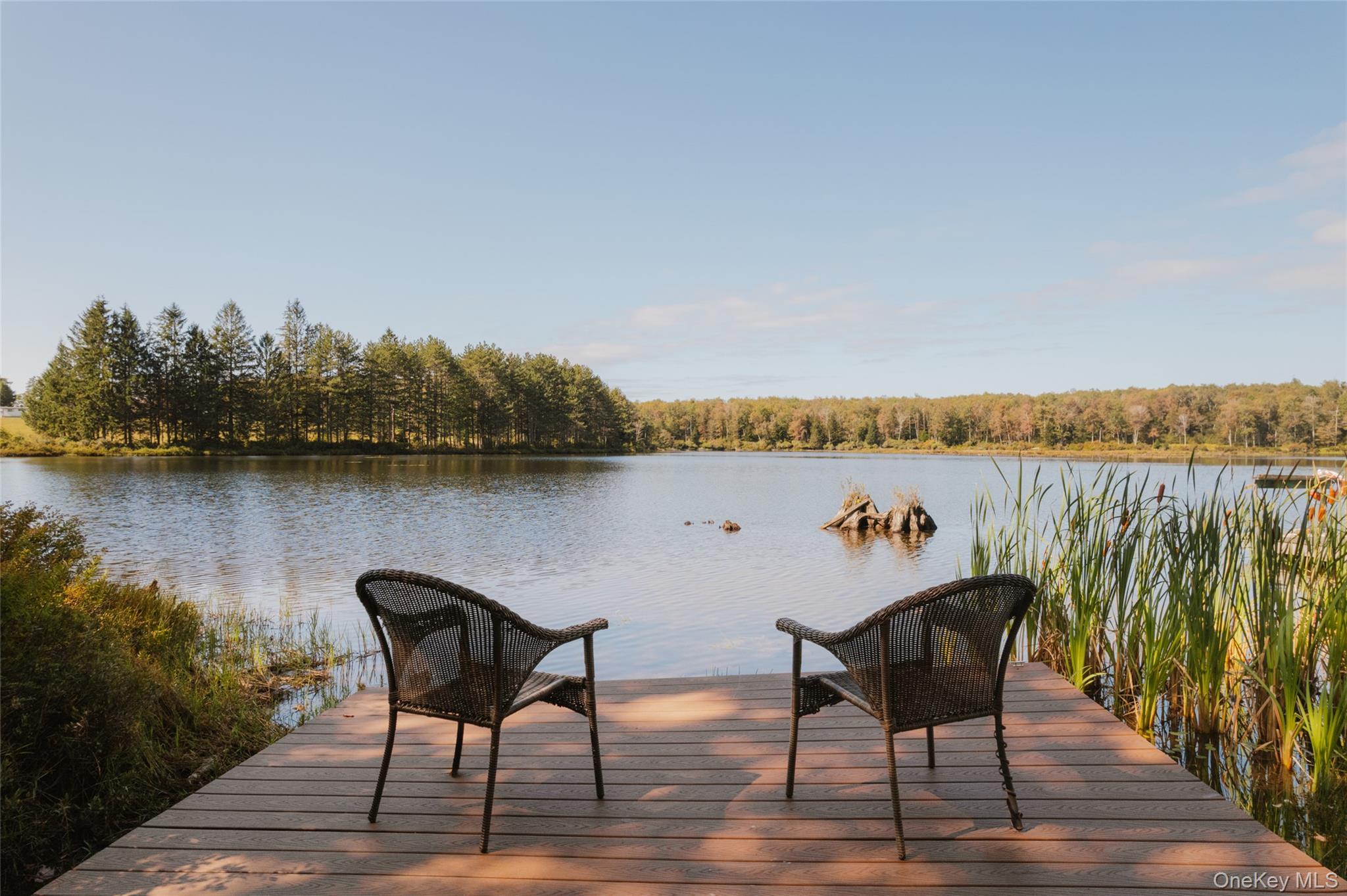 470 White Roe Lake Road, Livingston Manor, NY 12758