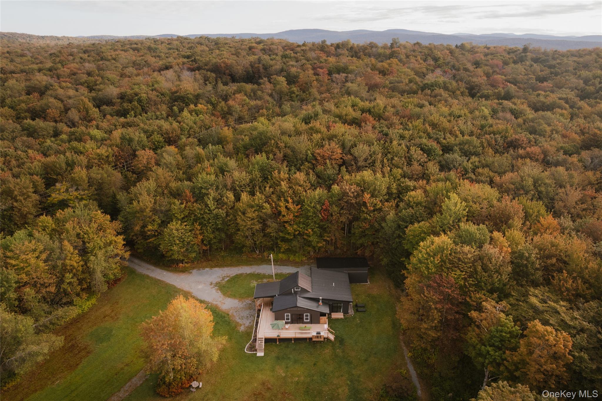 470 White Roe Lake Road, Livingston Manor, NY 12758