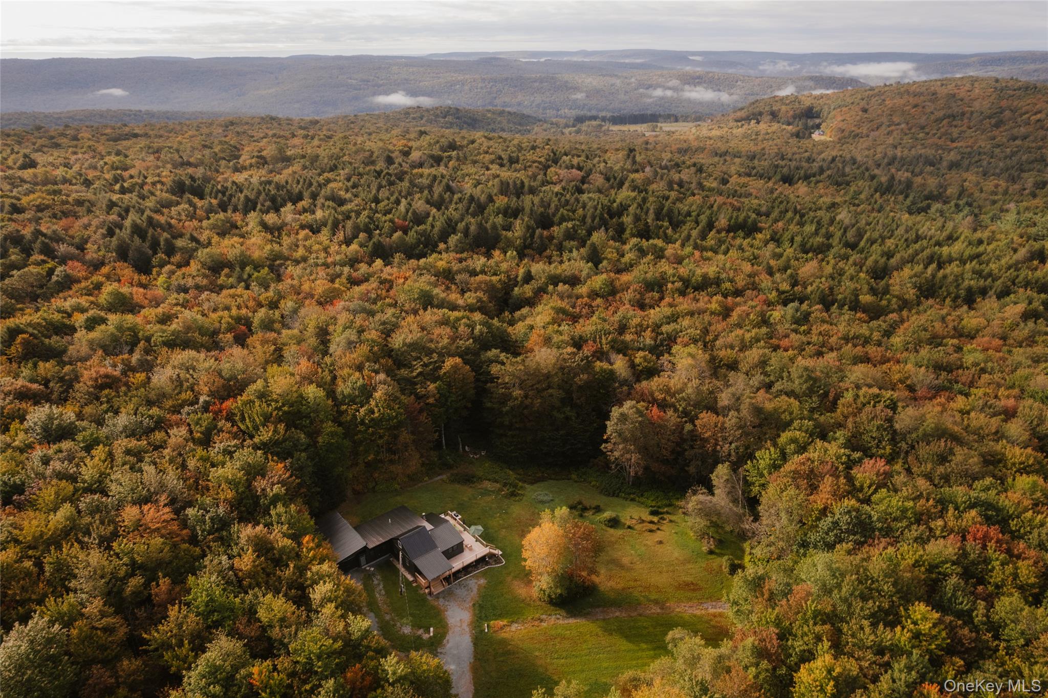 470 White Roe Lake Road, Livingston Manor, NY 12758