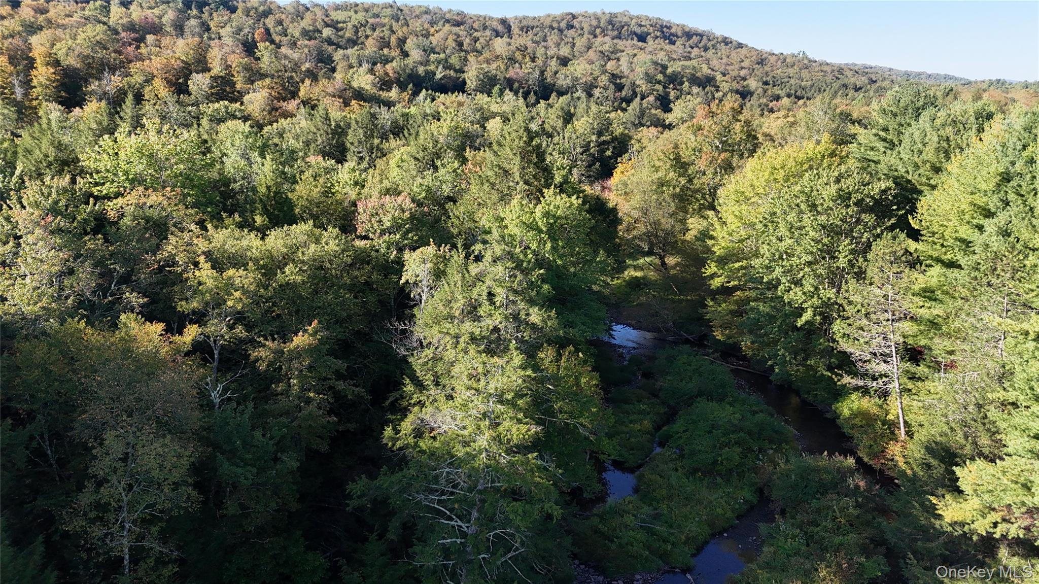 Town Park Road, Monticello, NY 12701