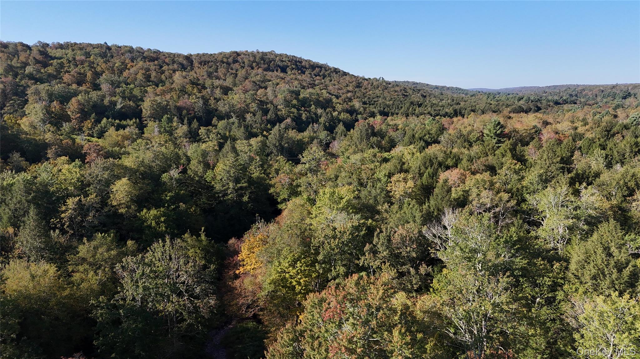 Town Park Road, Monticello, NY 12701