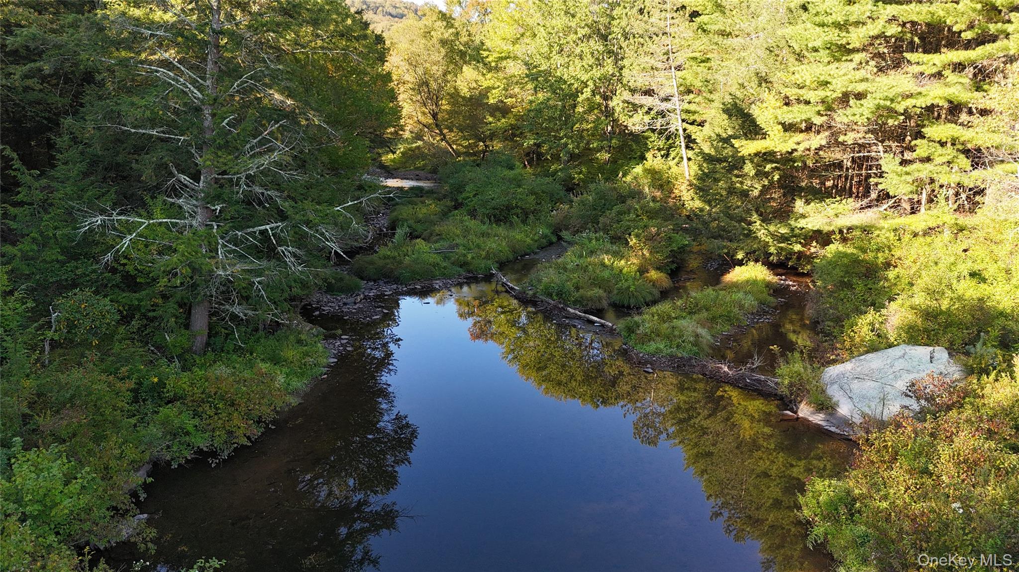 Town Park Road, Monticello, NY 12701