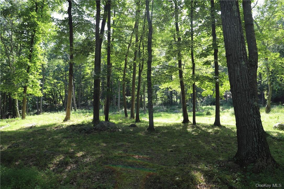 Mountain Farm Road, Tuxedo Park, NY 10987