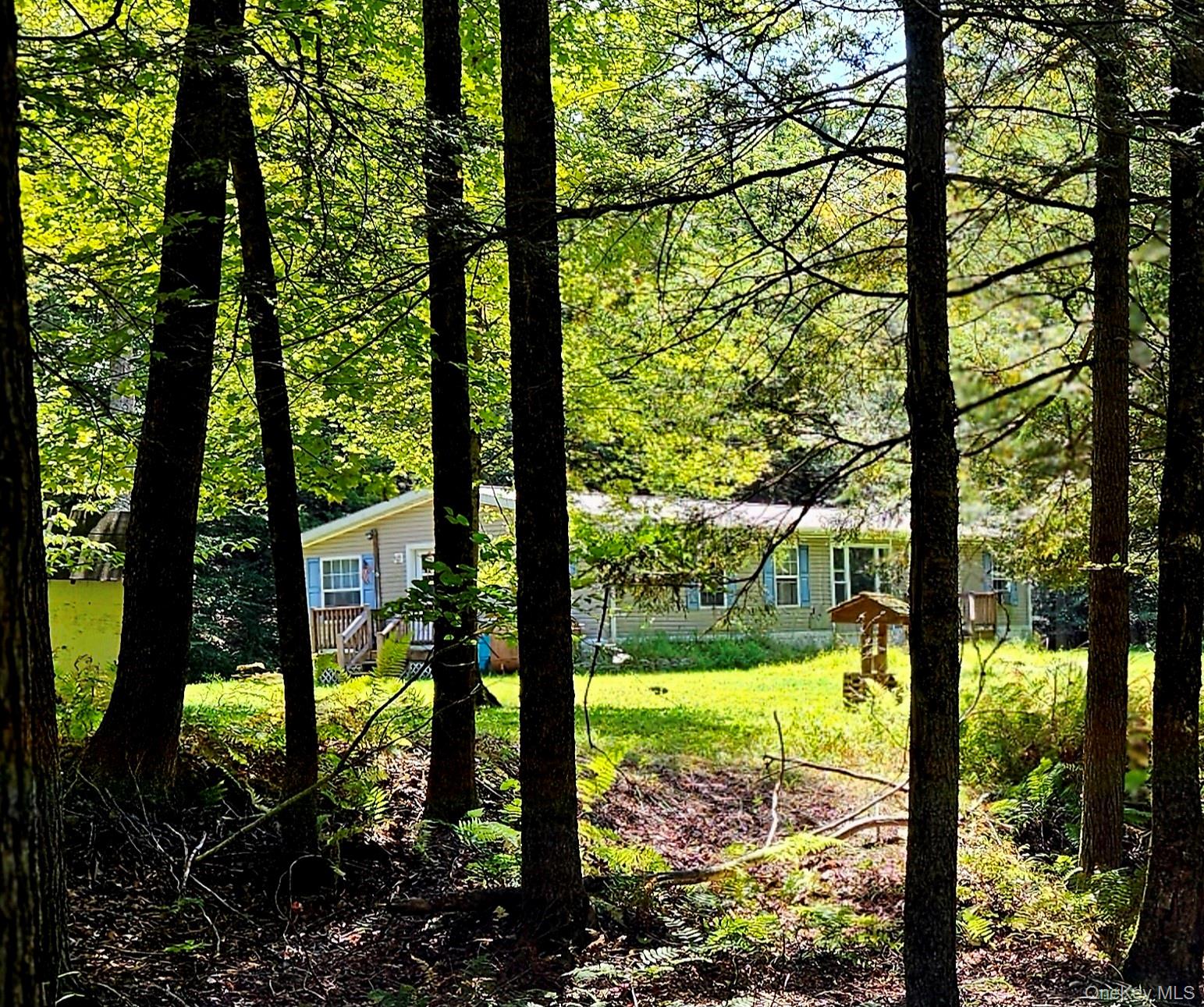 168 Cr 94, Fremont, NY 12723