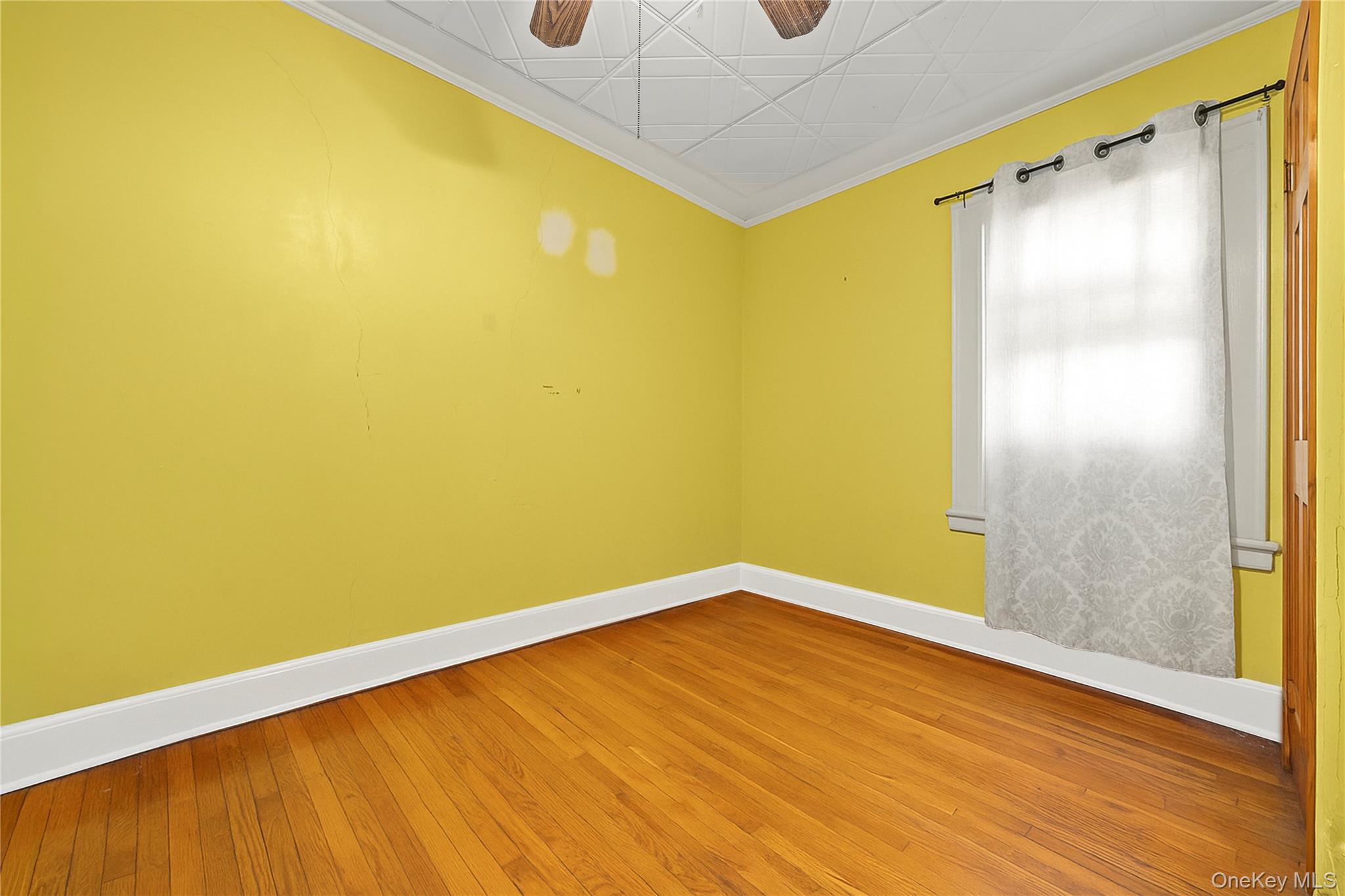 8506 79th Street, Woodhaven, NY 11421