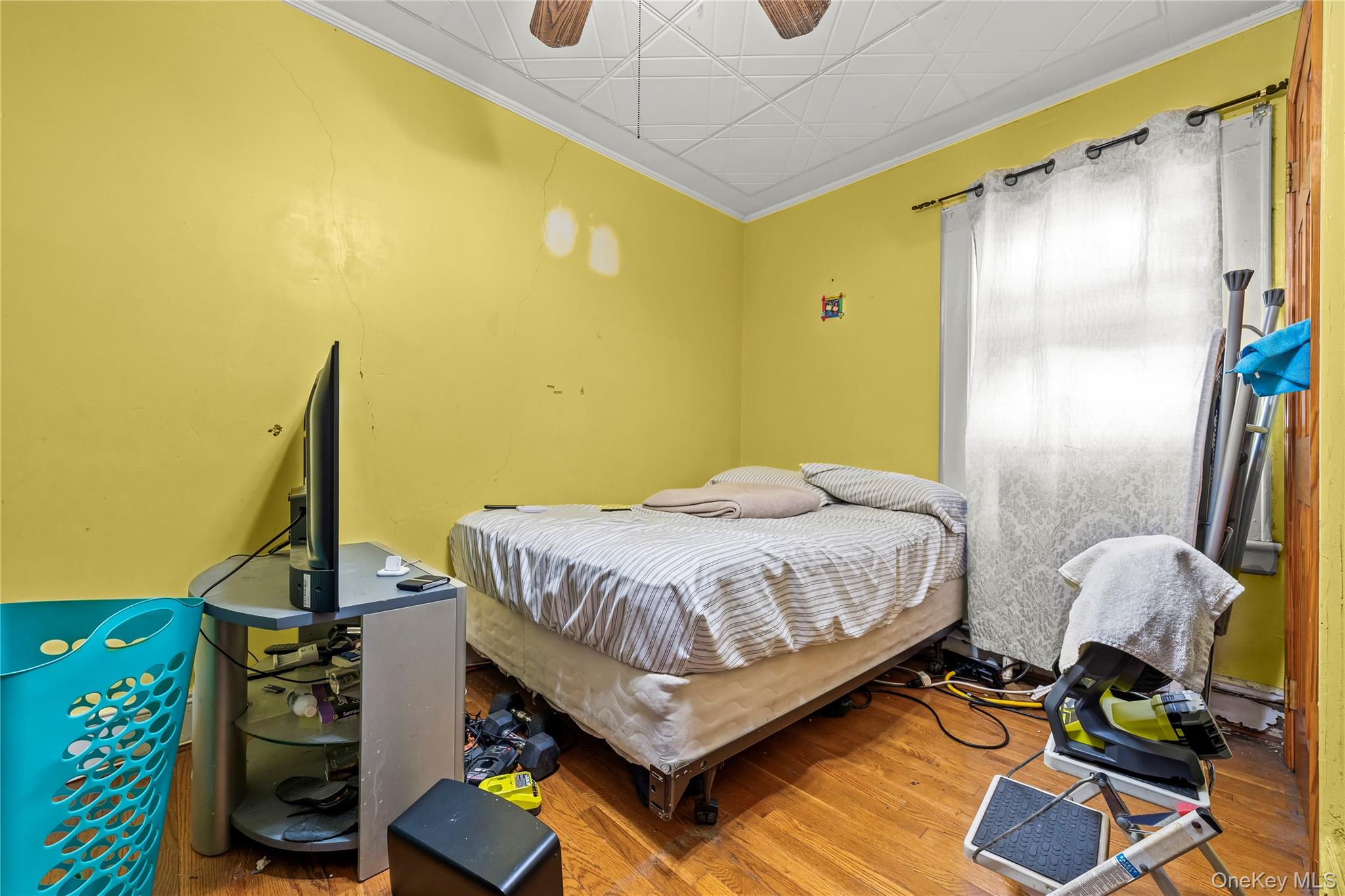 8506 79th Street, Woodhaven, NY 11421