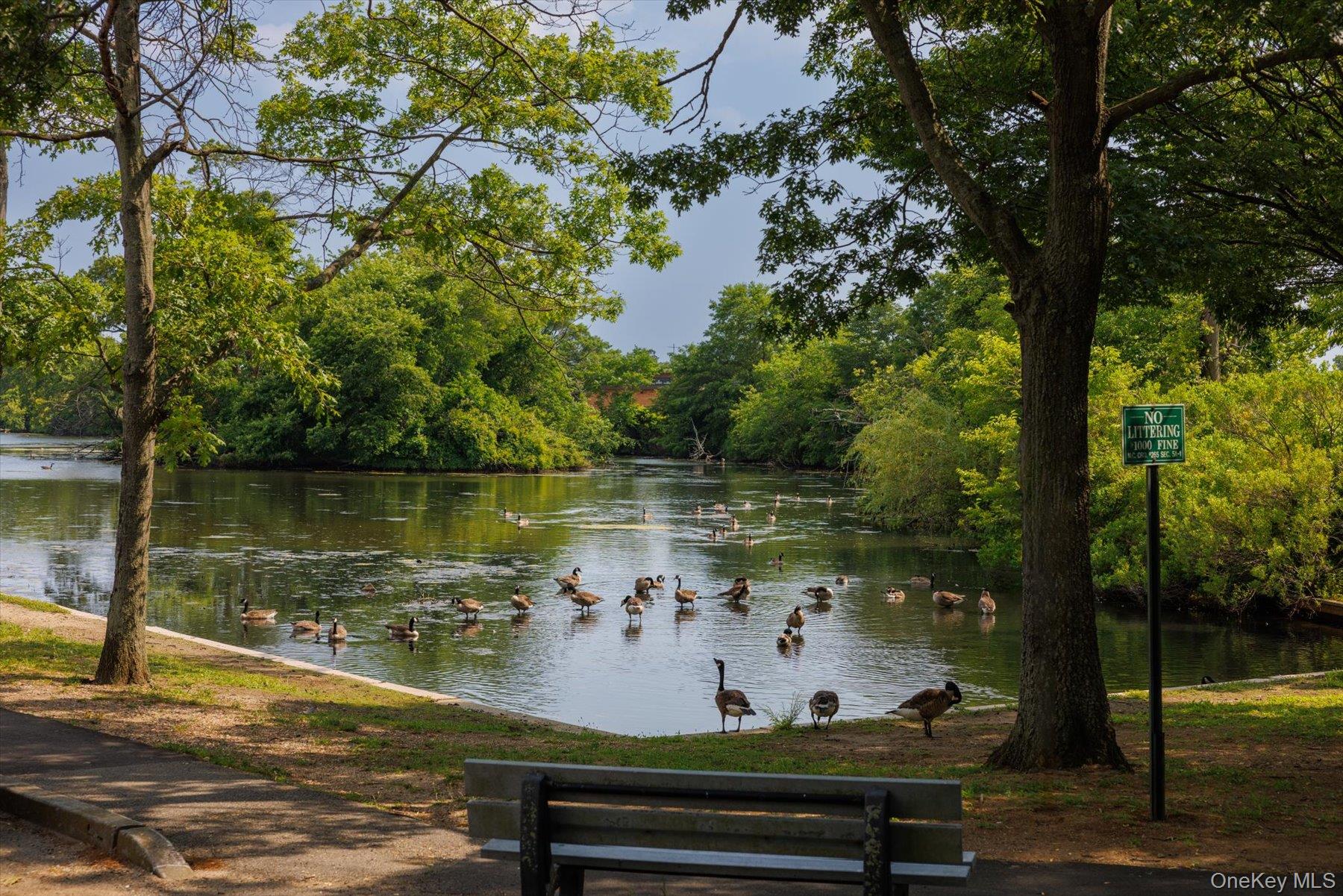 103 Frankel Boulevard, Merrick, NY 11566