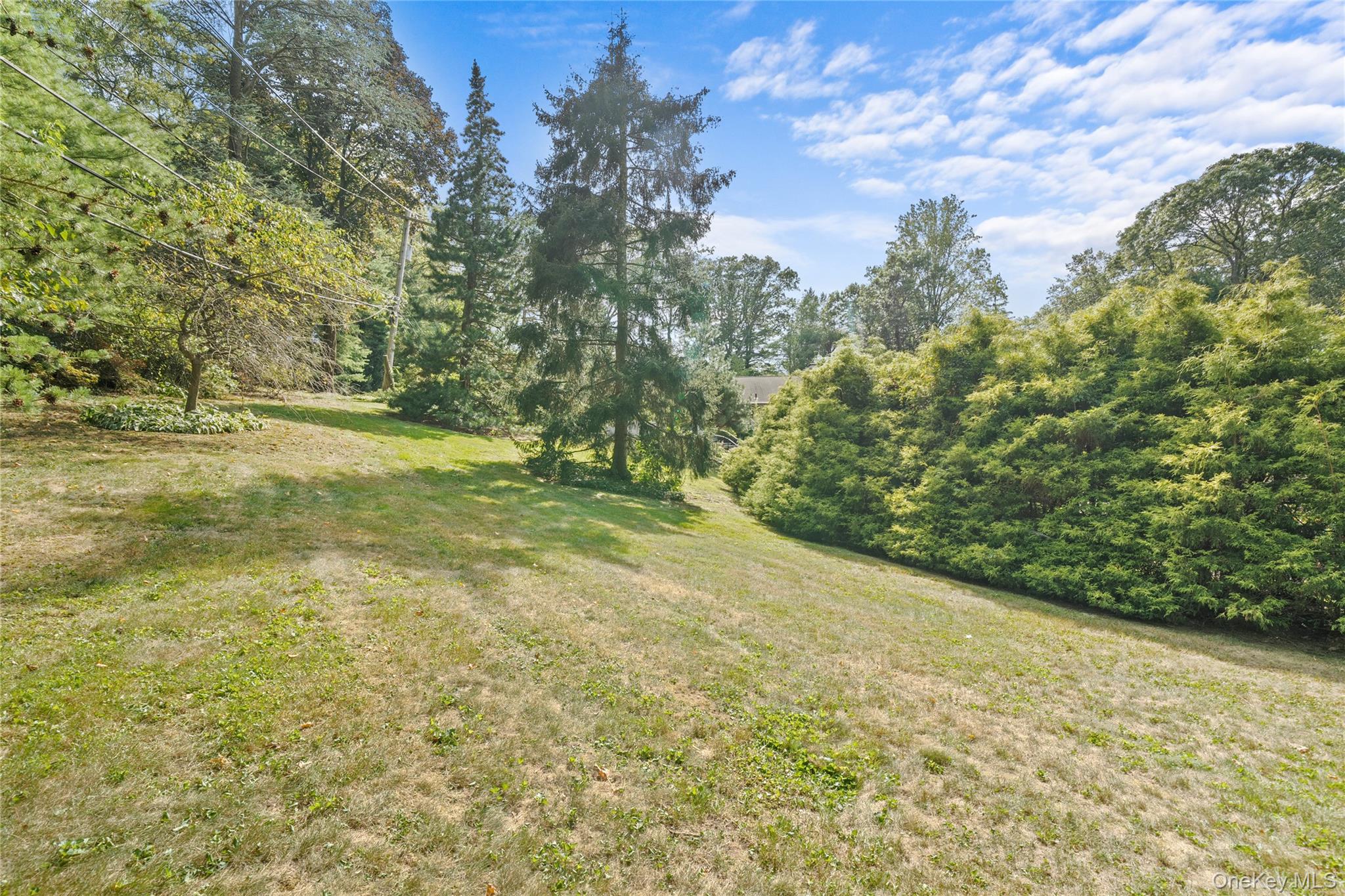 55 Rolling Hill Lane, Old Westbury, NY 11568