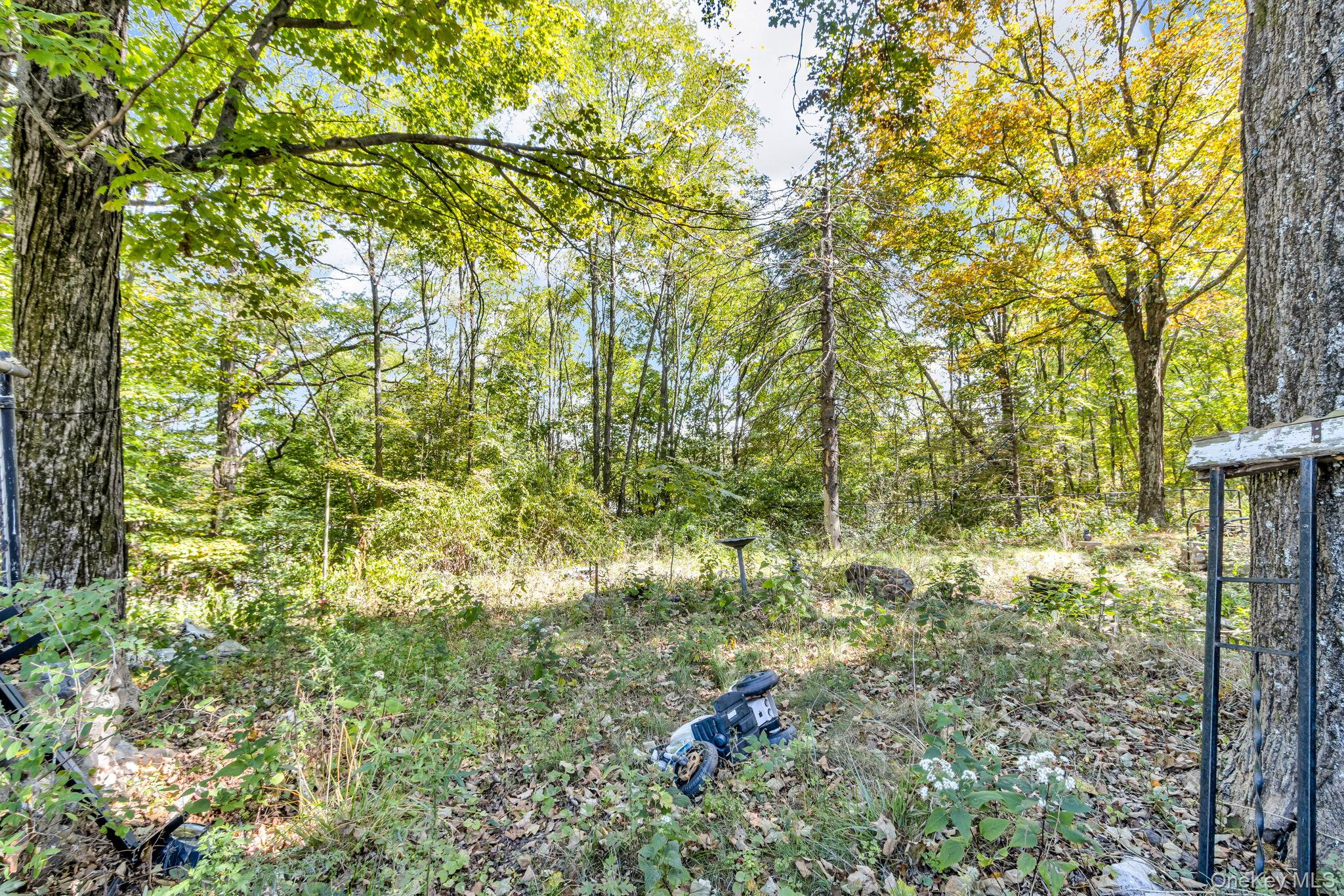 31 Foster Road, Cairo, NY 12413