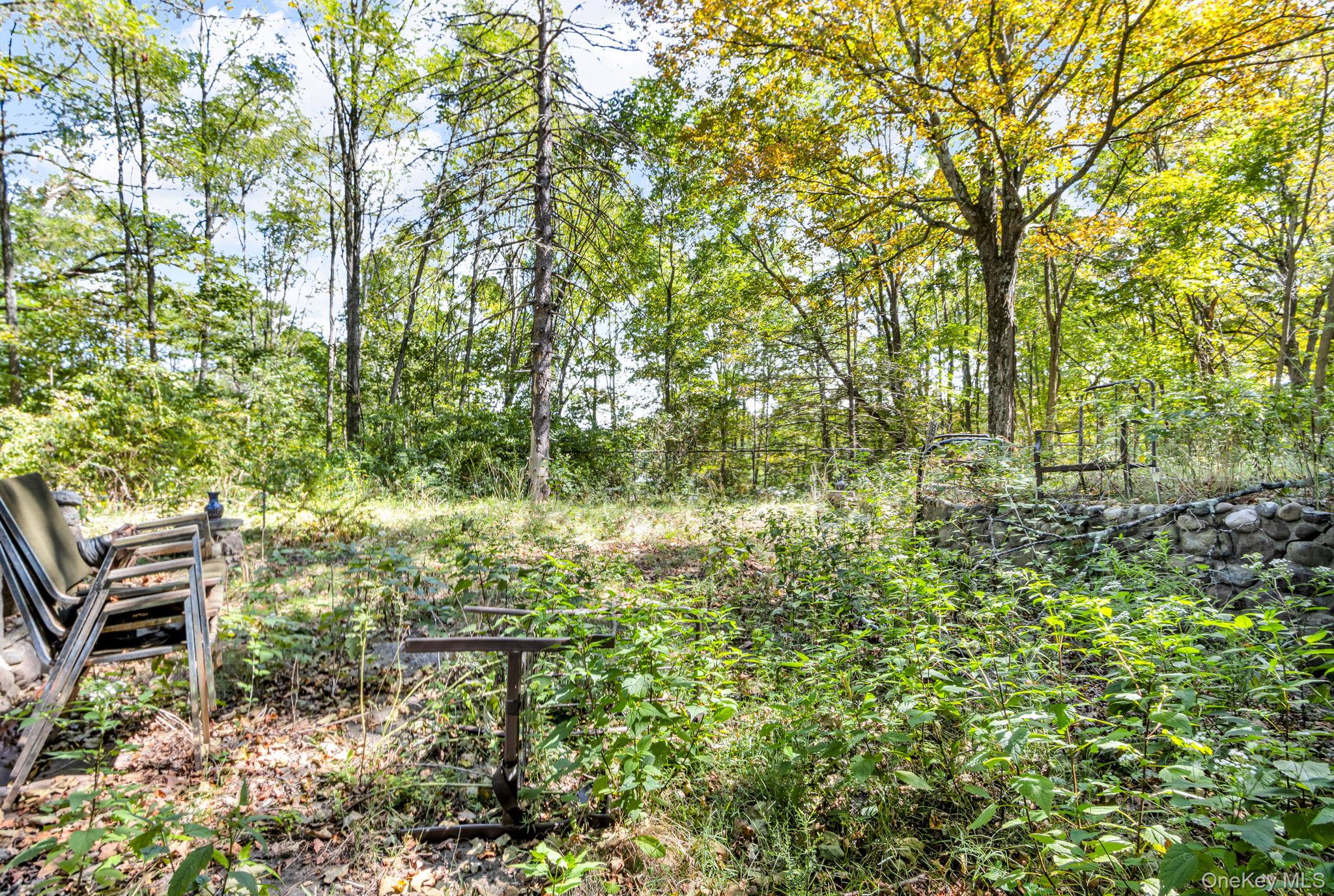 31 Foster Road, Cairo, NY 12413