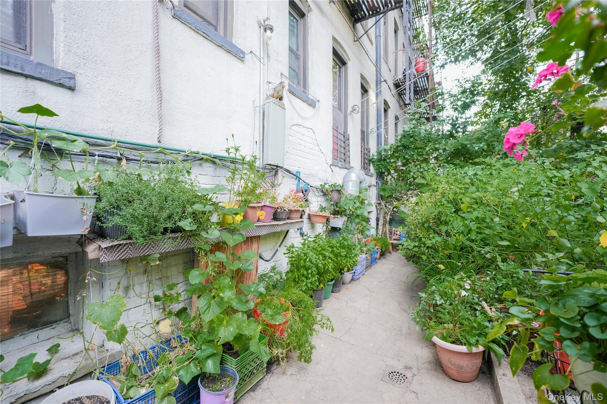 2042 Gates Avenue, Ridgewood, NY 11385