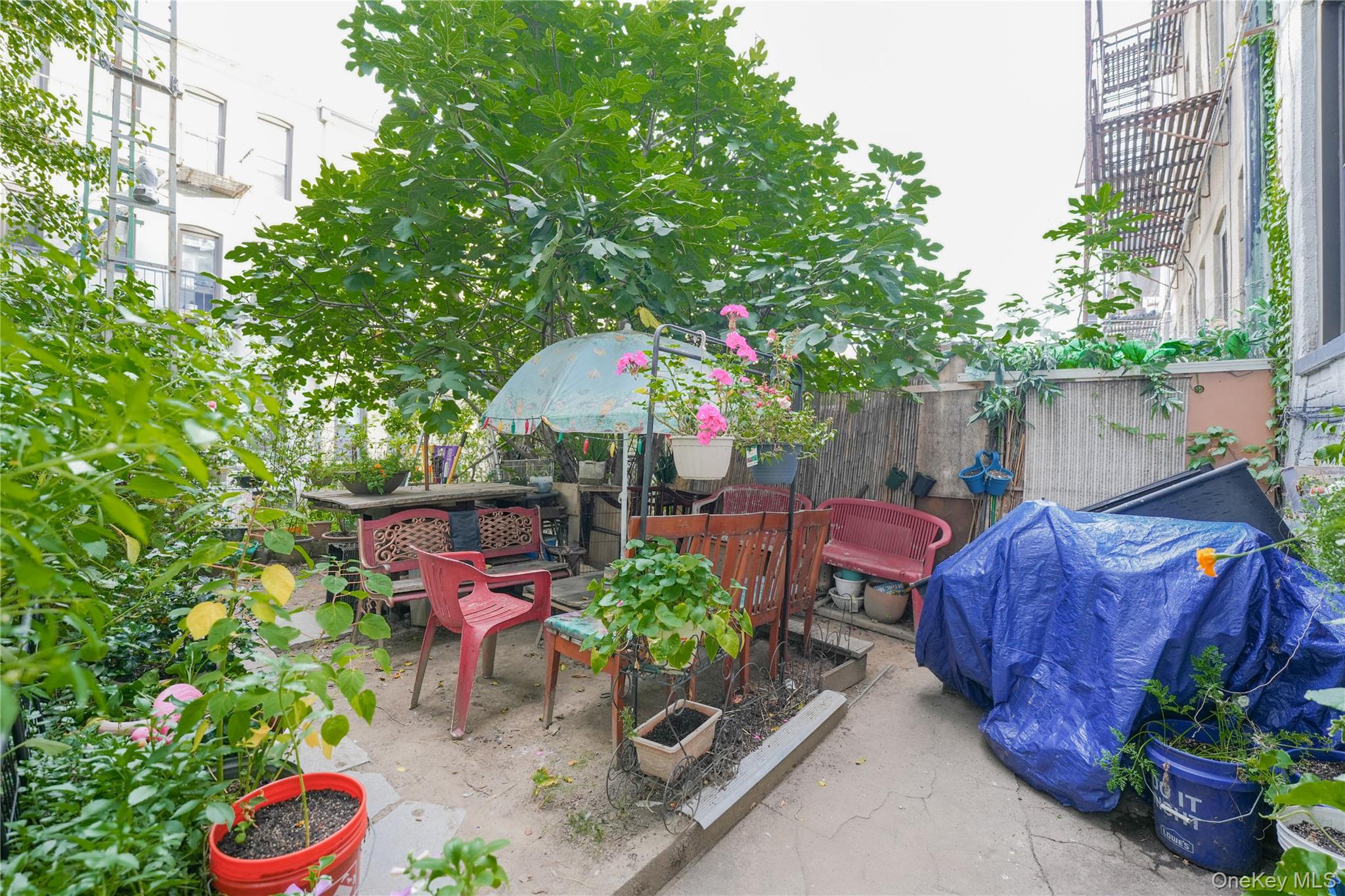 2042 Gates Avenue, Ridgewood, NY 11385