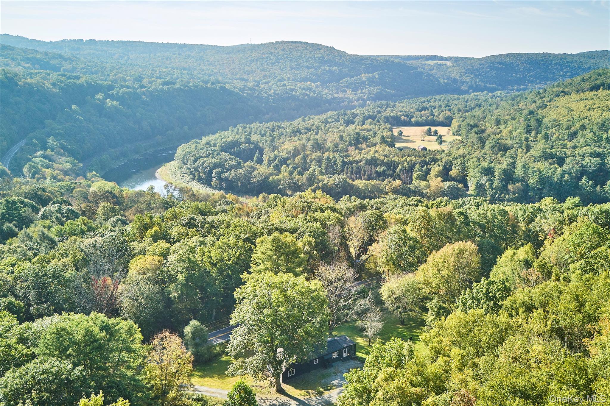 87 Hankins Road, Hankins, NY 12741