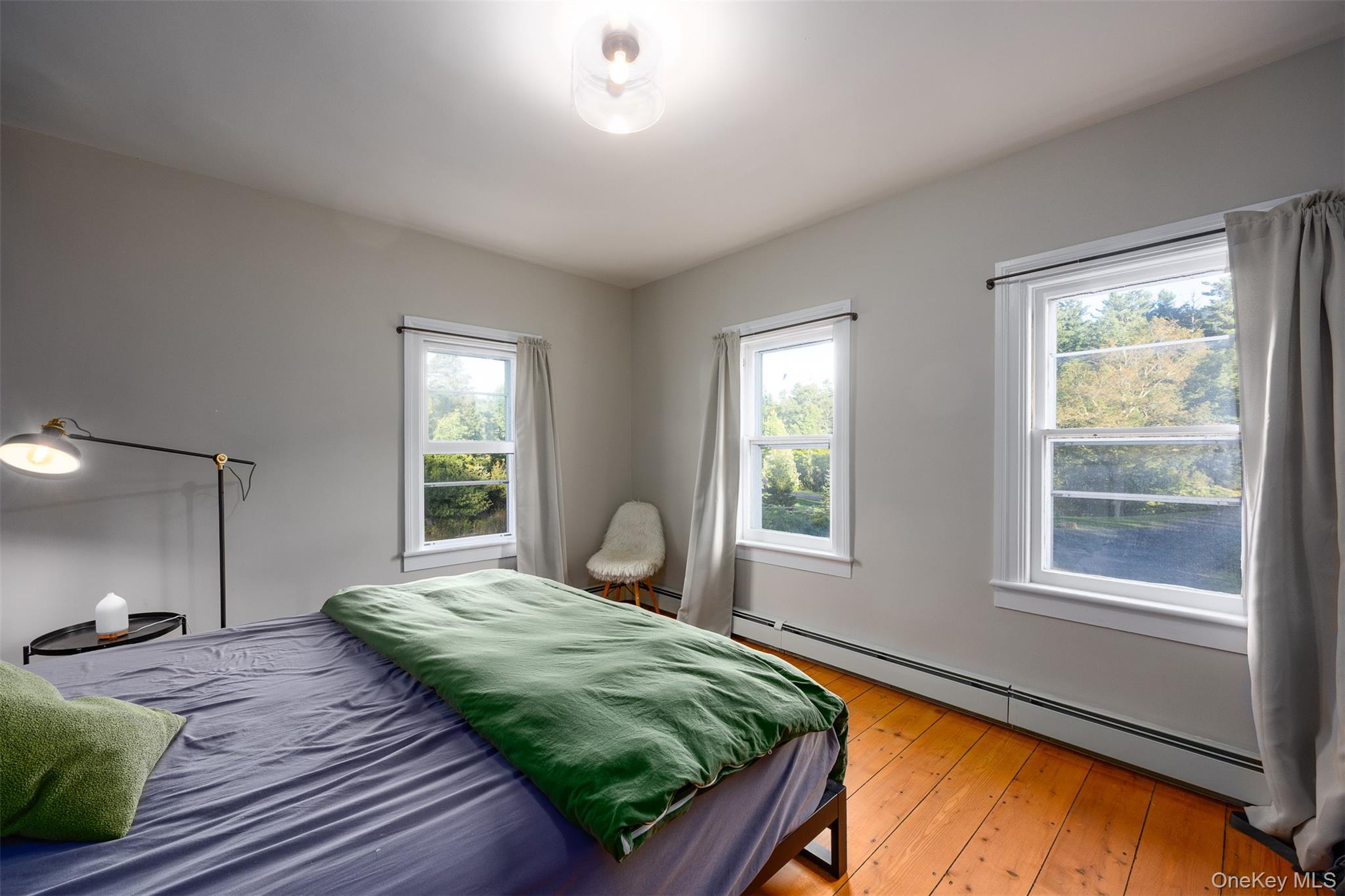 3 Leon Macglashan Road, Windham, NY 12496