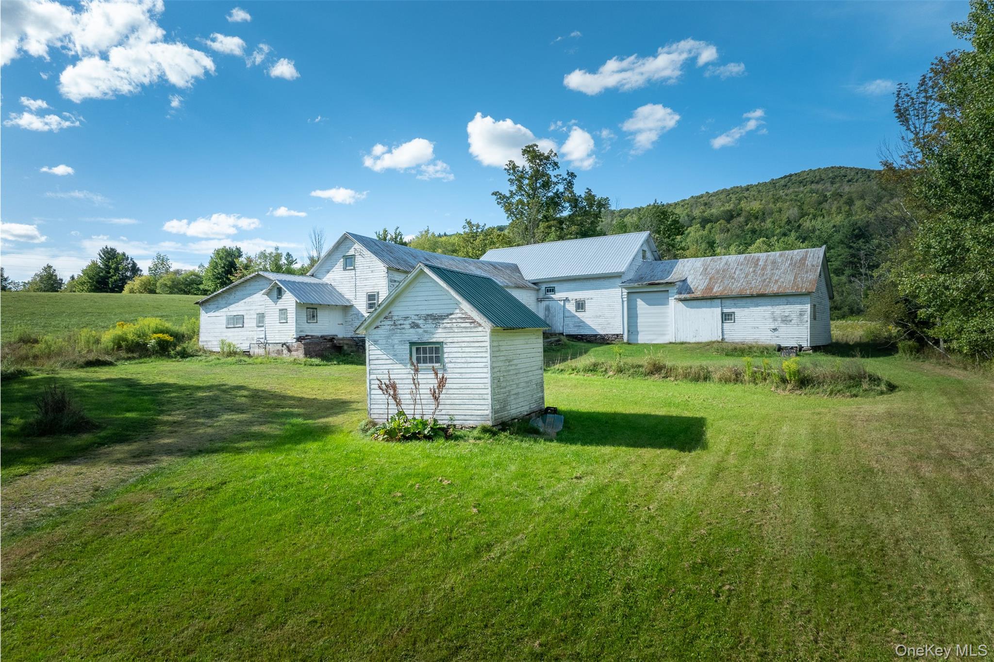 3 Leon Macglashan Road, Windham, NY 12496