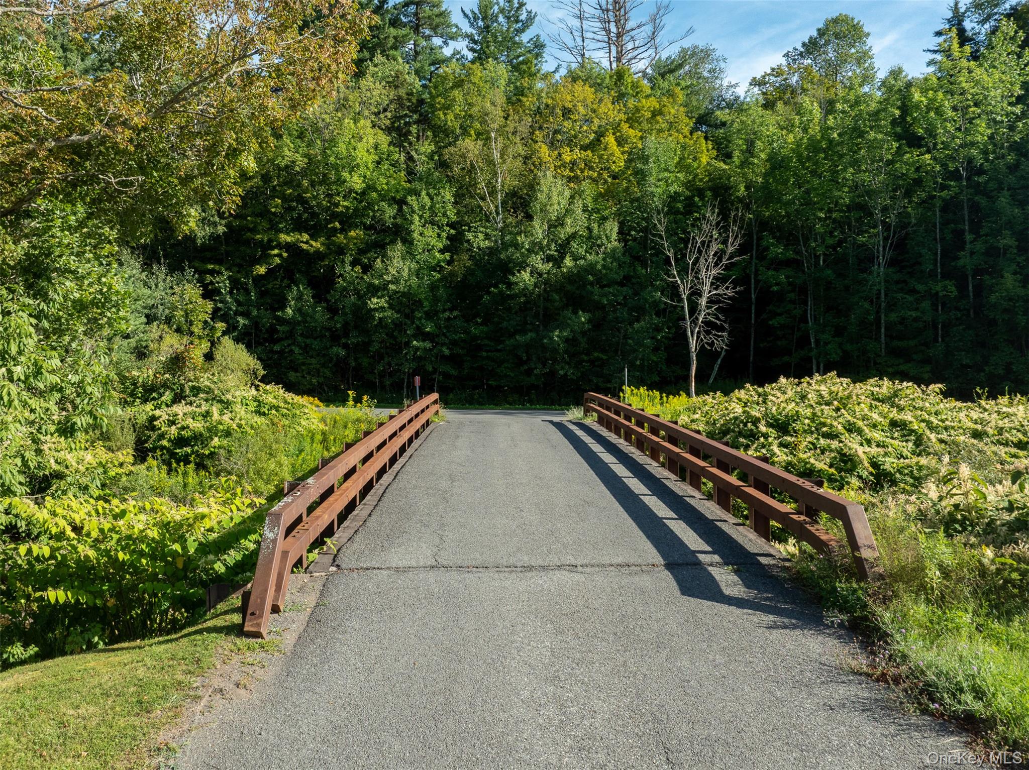 3 Leon Macglashan Road, Windham, NY 12496