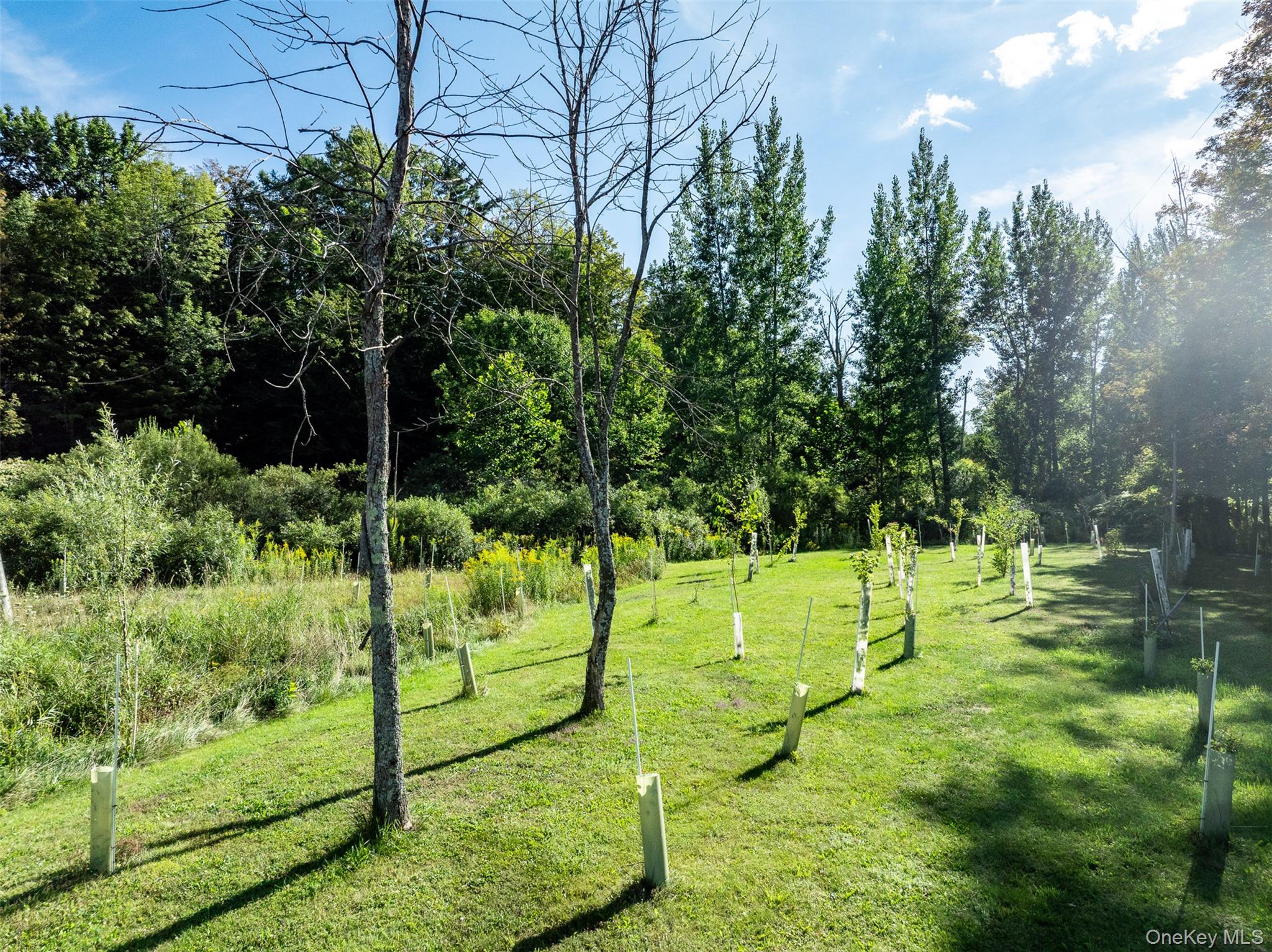 3 Leon Macglashan Road, Windham, NY 12496