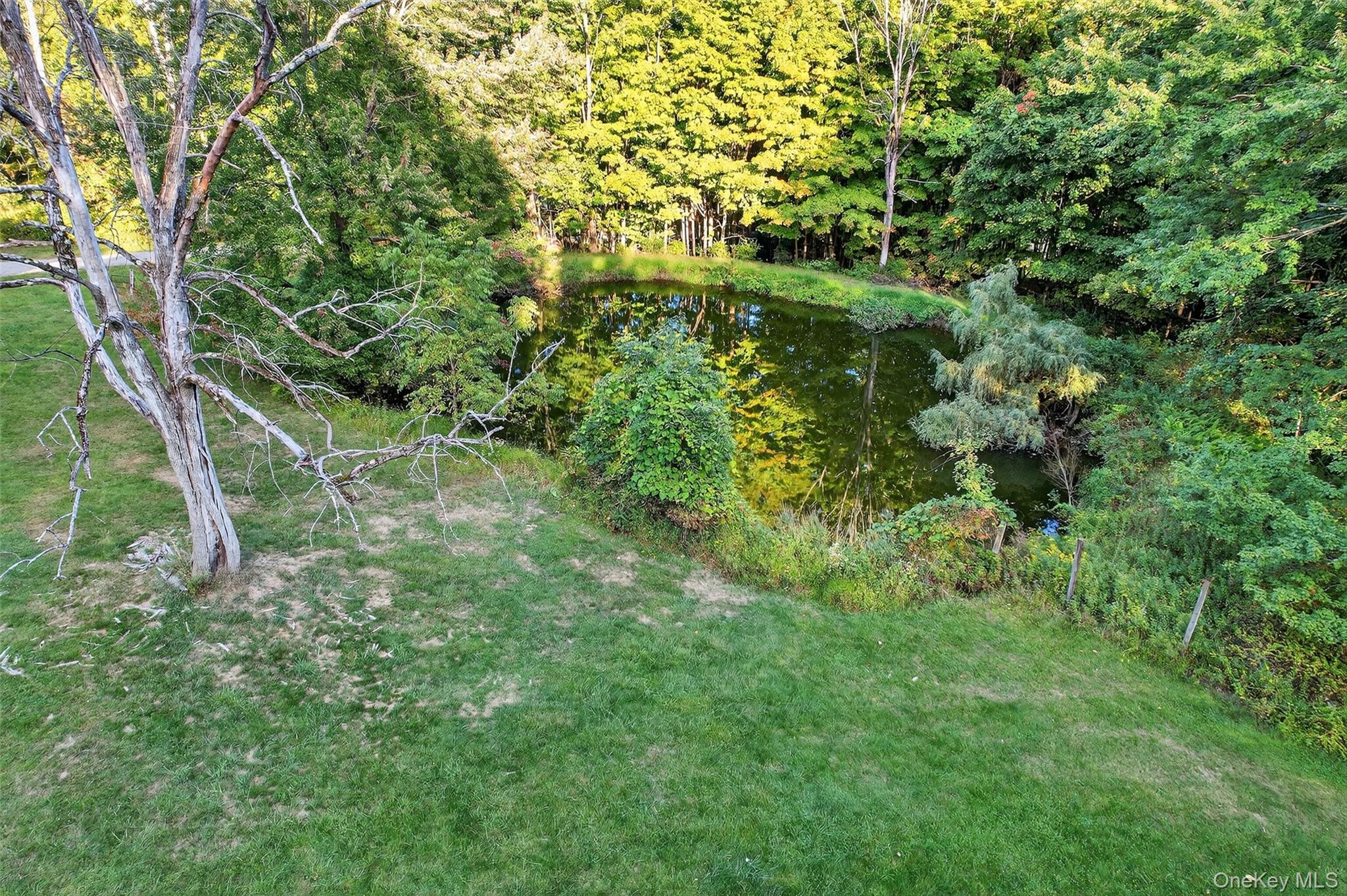 83 High Hope Drive, Otisville, NY 10963