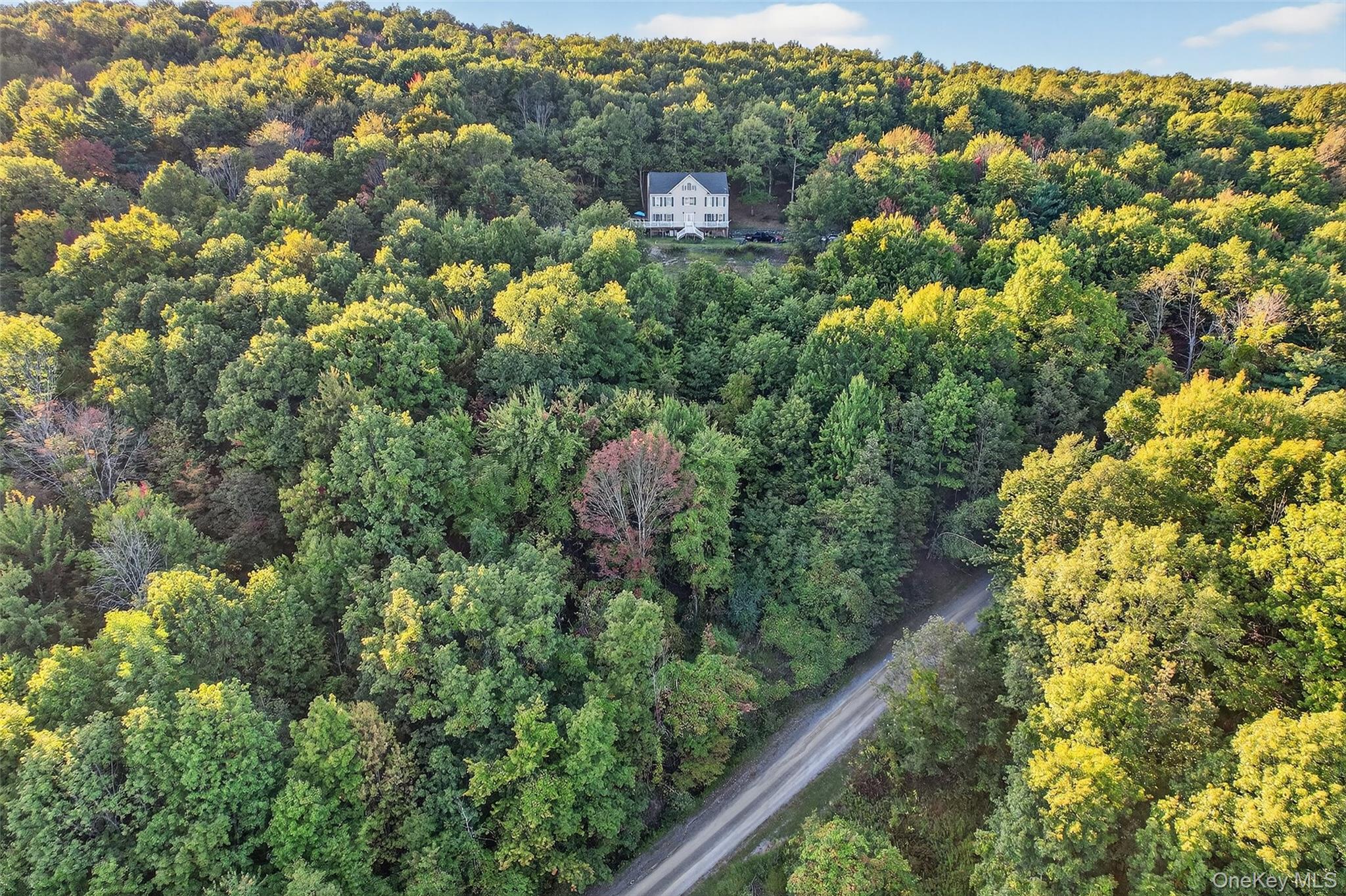 83 High Hope Drive, Otisville, NY 10963