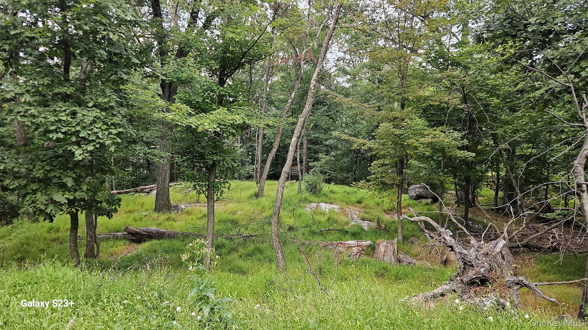 Ridgetop Drive, Tomkins Cove, NY 10986